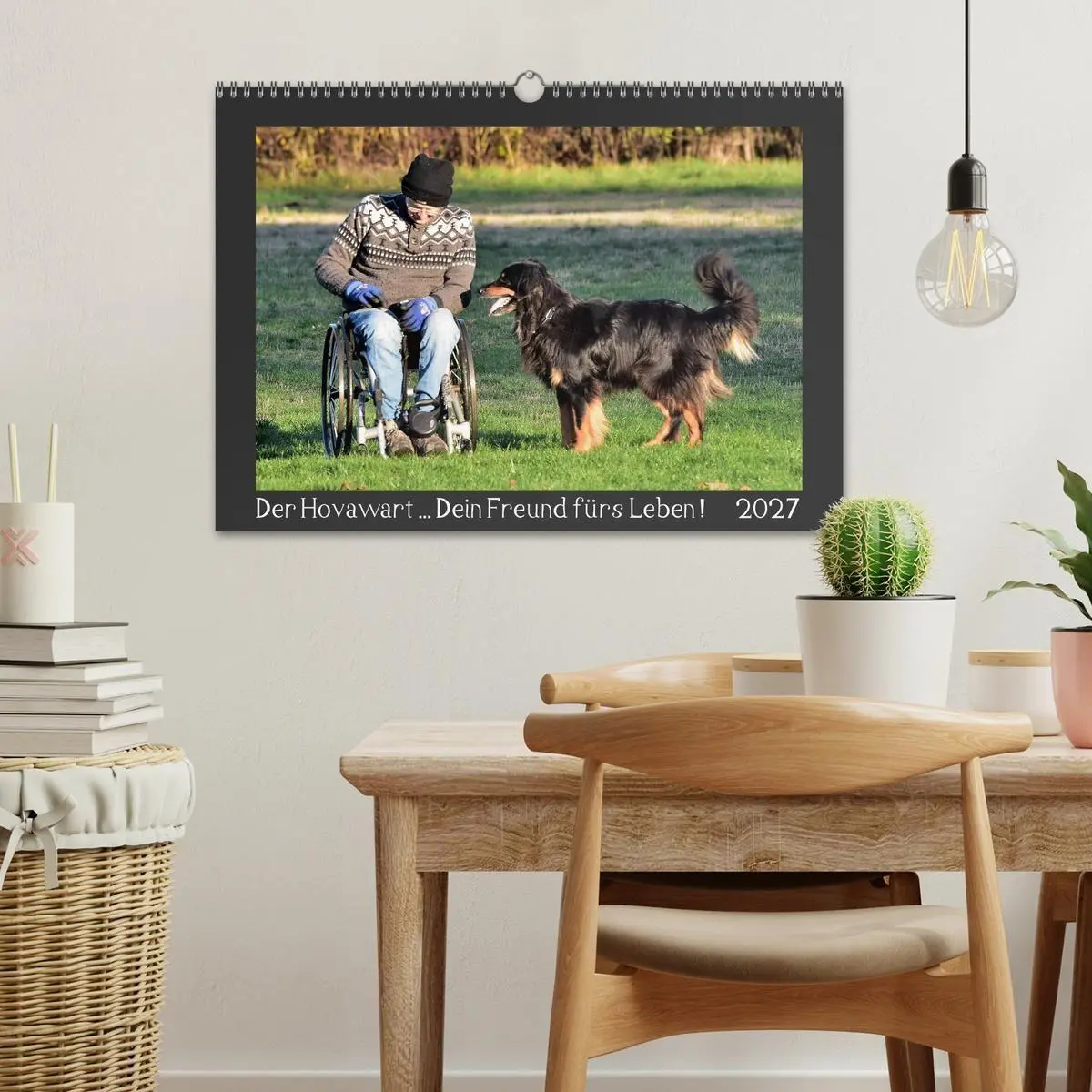Bild: 9783569692152 | Der Hovawart... Dein Freund fürs Leben! (Wandkalender 2027 DIN A3...