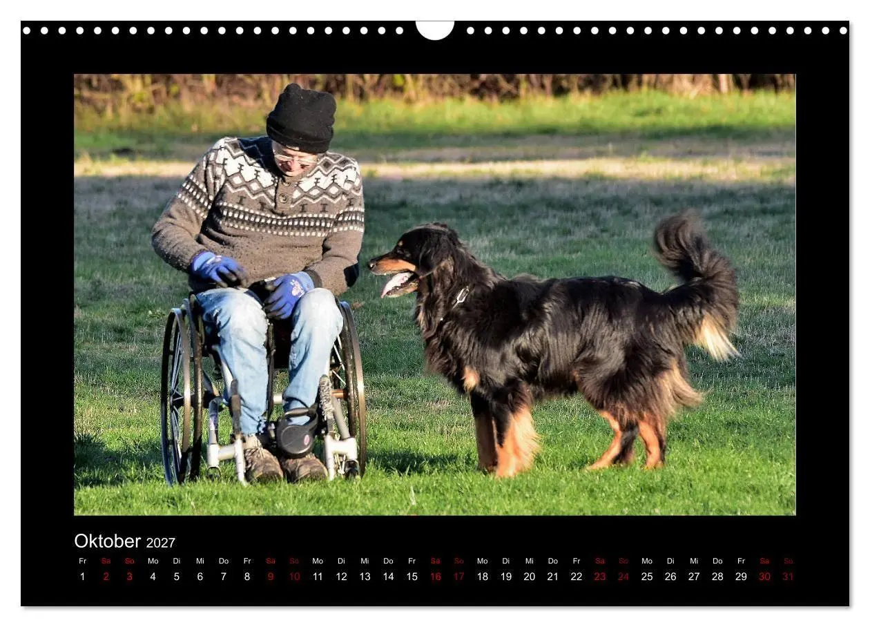 Bild: 9783569692152 | Der Hovawart... Dein Freund fürs Leben! (Wandkalender 2027 DIN A3...