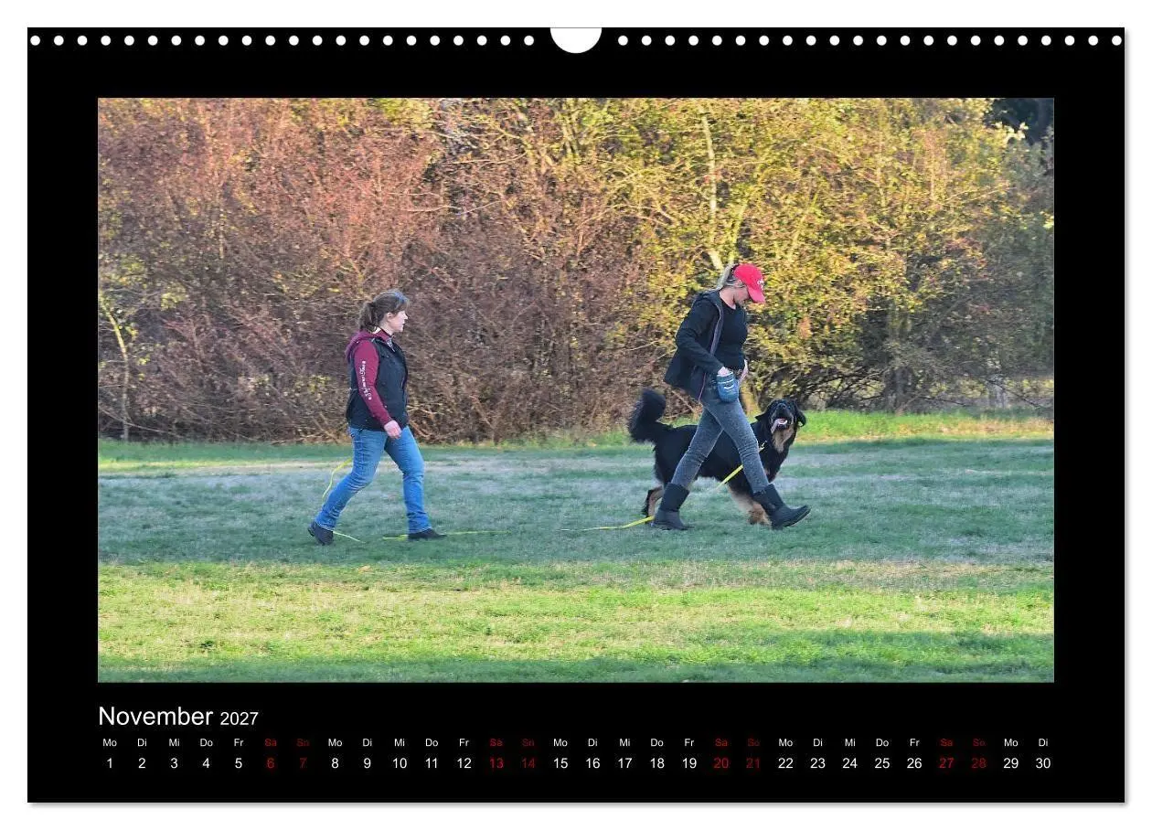 Bild: 9783569692152 | Der Hovawart... Dein Freund fürs Leben! (Wandkalender 2027 DIN A3...