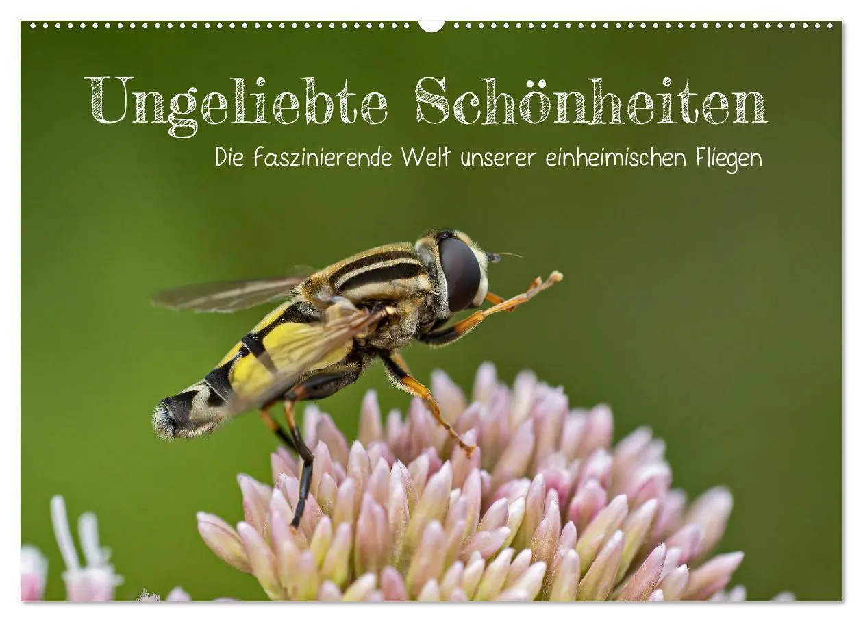 Cover: 9783457572252 | Ungeliebte Schönheiten - die faszinierende Welt unserer heimischen...