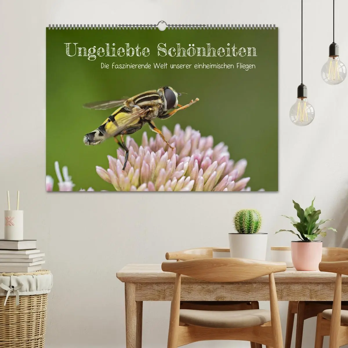 Bild: 9783457572252 | Ungeliebte Schönheiten - die faszinierende Welt unserer heimischen...