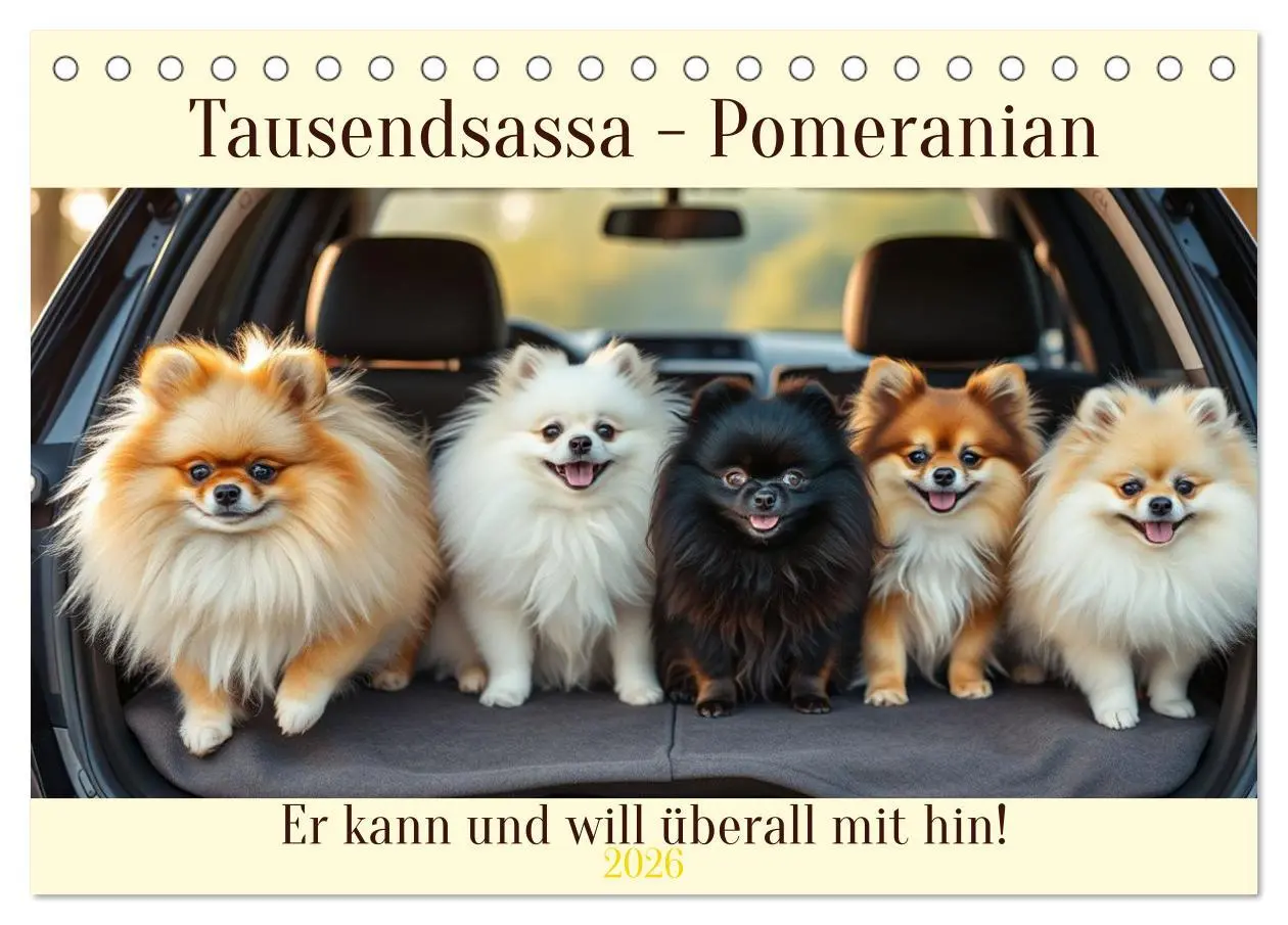 Cover: 9783516592252 | Tausendsassa - Pomeranian (Tischkalender 2026 DIN A5 quer),...