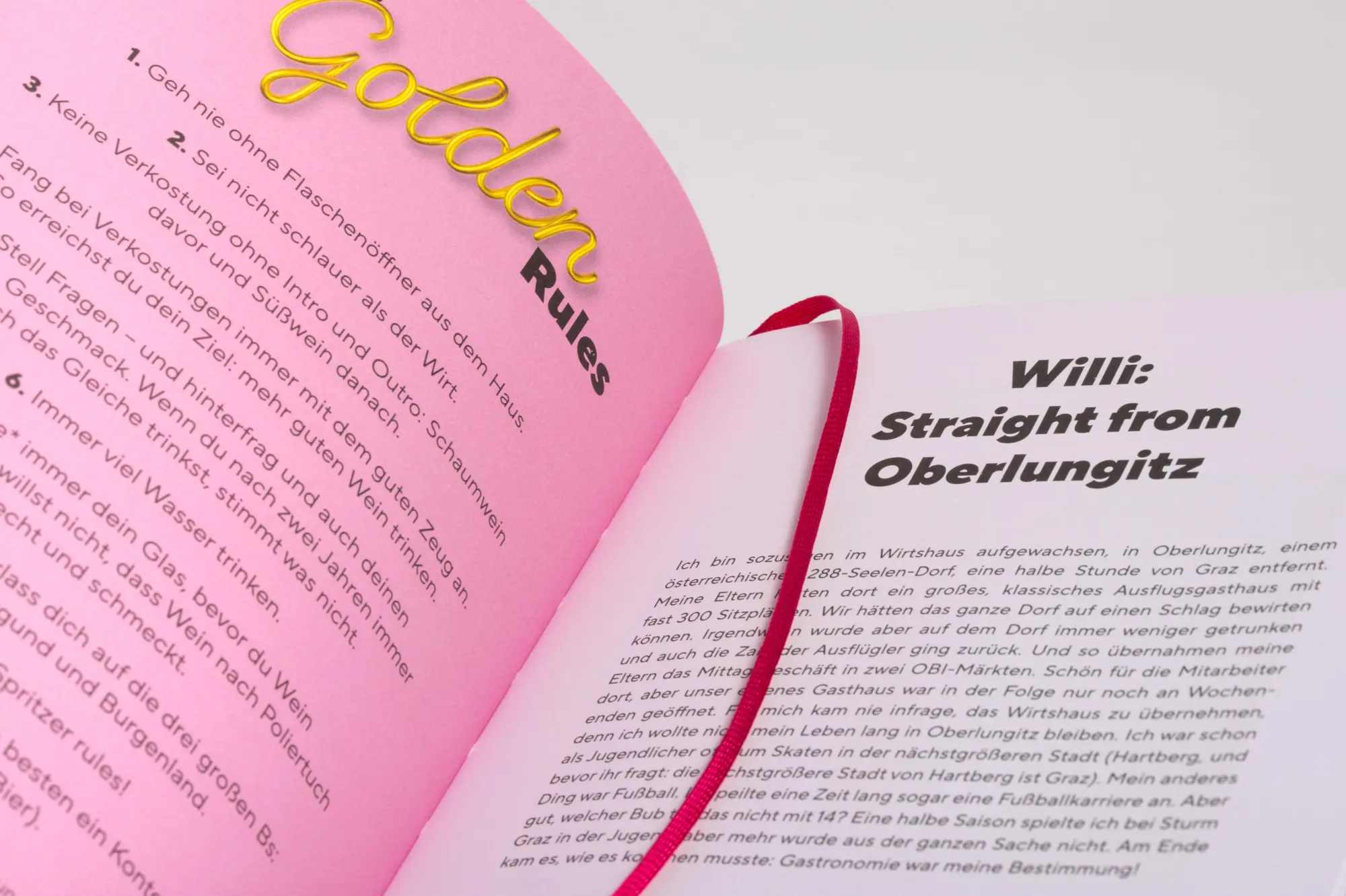 Bild: 9783517102252 | Anleitung zum Weinsaufen | Willi Schlögl (u. a.) | Buch | 208 S.