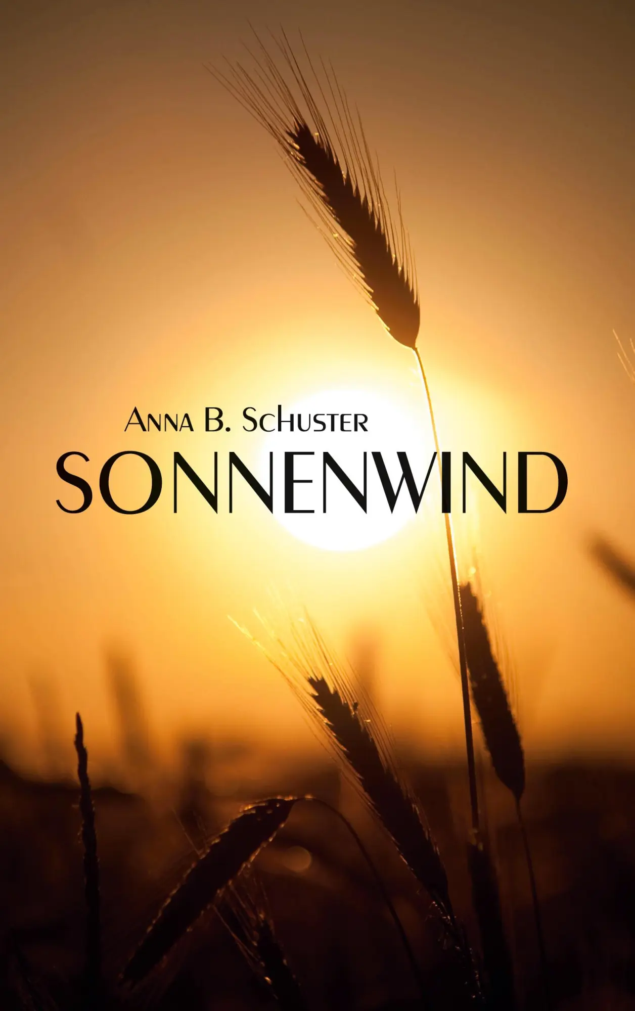 Cover: 9783752662252 | Sonnenwind | Eine lesbische Liebesgeschichte | Anna B. Schuster | Buch