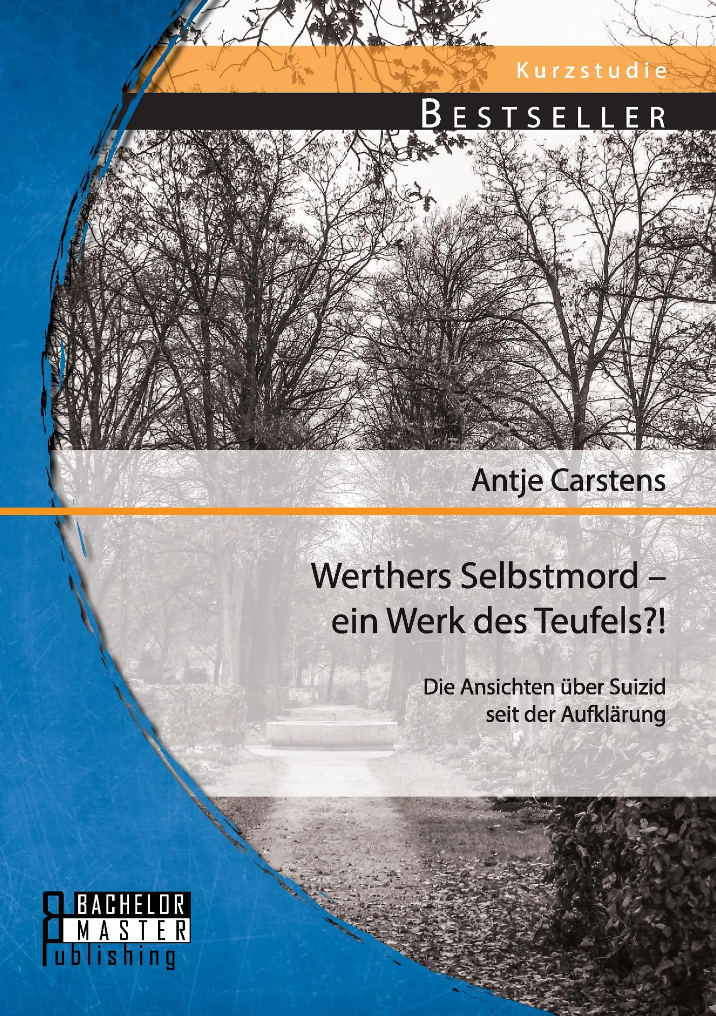 Cover: 9783956842252 | Werthers Selbstmord - ein Werk des Teufels?! Die Ansichten über...