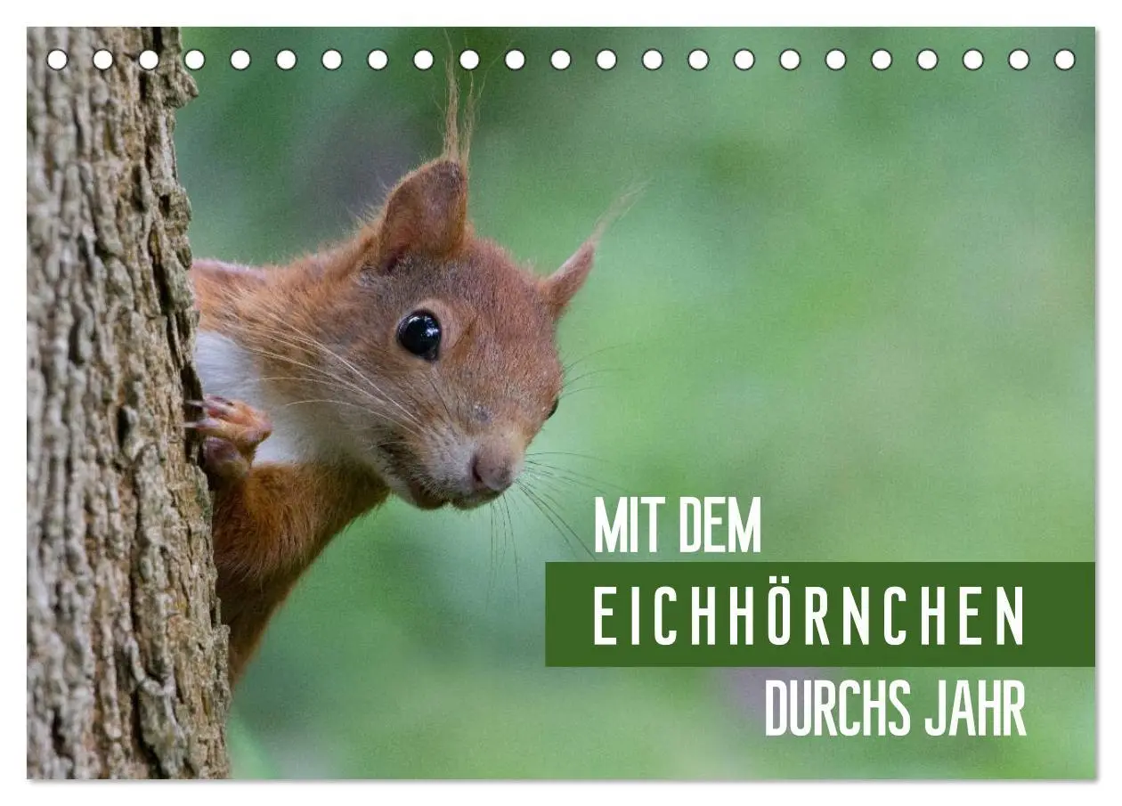 Cover: 9783516102352 | Mit dem Eichhörnchen durchs Jahr (Tischkalender 2026 DIN A5 quer),...