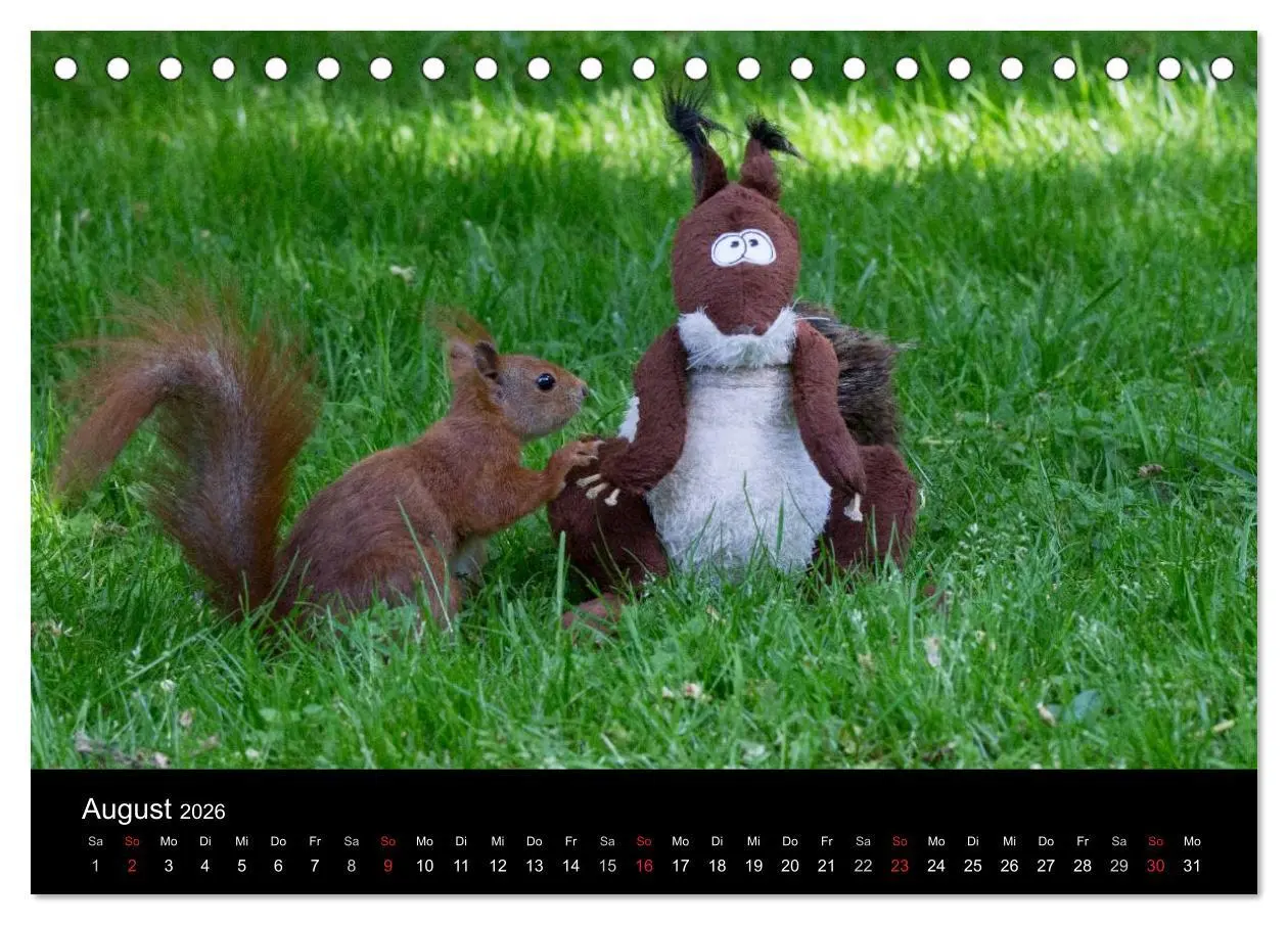 Bild: 9783516102352 | Mit dem Eichhörnchen durchs Jahr (Tischkalender 2026 DIN A5 quer),...