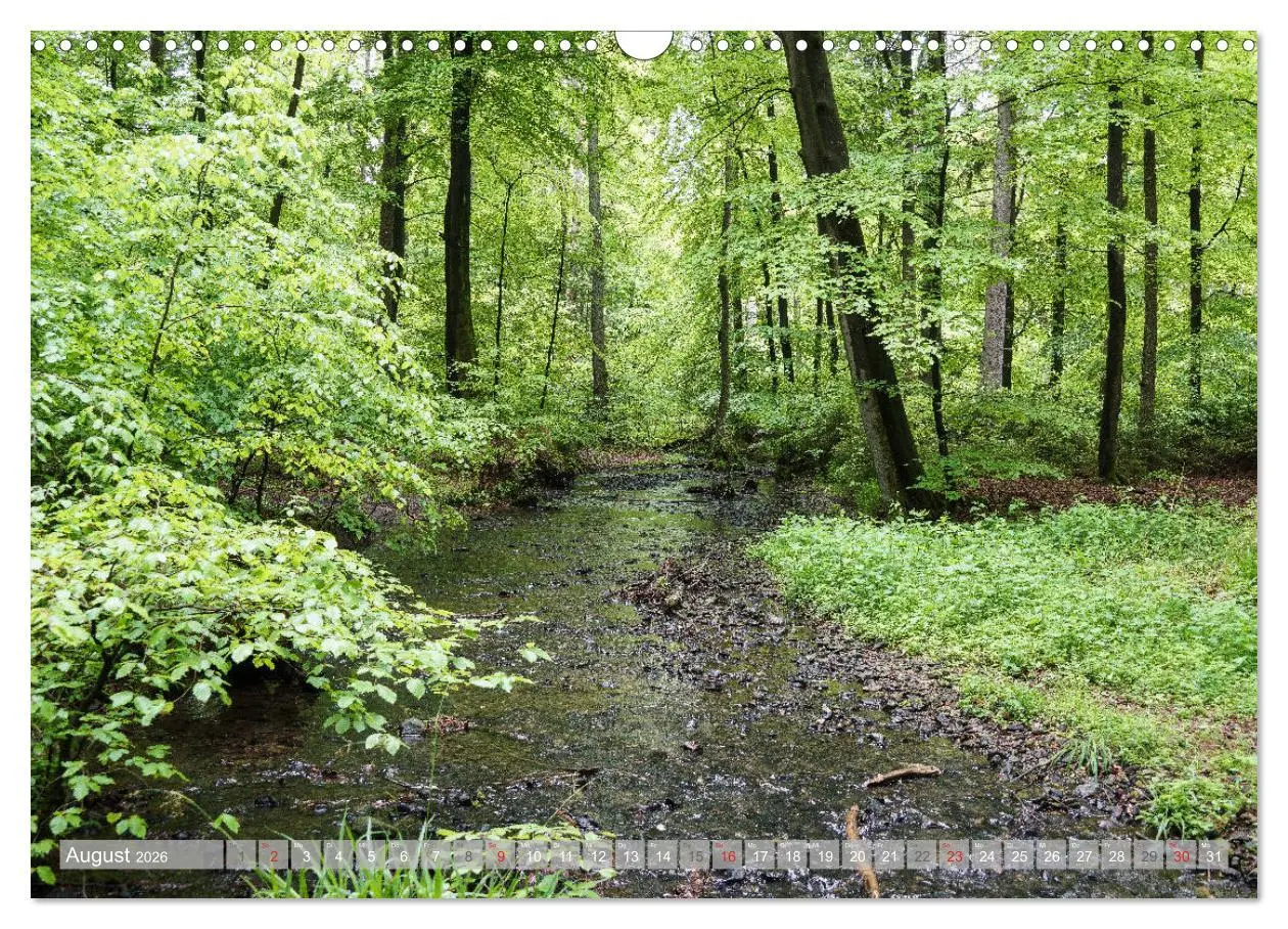 Bild: 9783457792452 | Teutoburger Wald - Natur und Kultur (Wandkalender 2026 DIN A3...