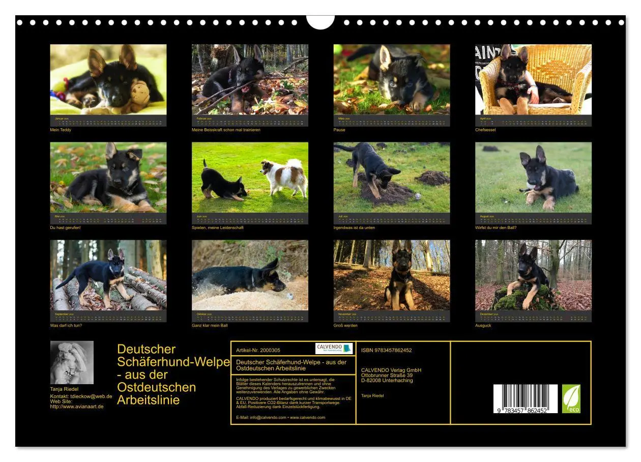 Bild: 9783457862452 | Deutscher Schäferhund-Welpe - aus der Ostdeutschen Arbeitslinie...