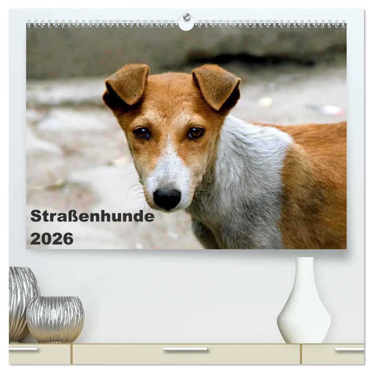 Cover: 9783516192452 | Straßenhunde (hochwertiger Premium Wandkalender 2026 DIN A2 quer),...