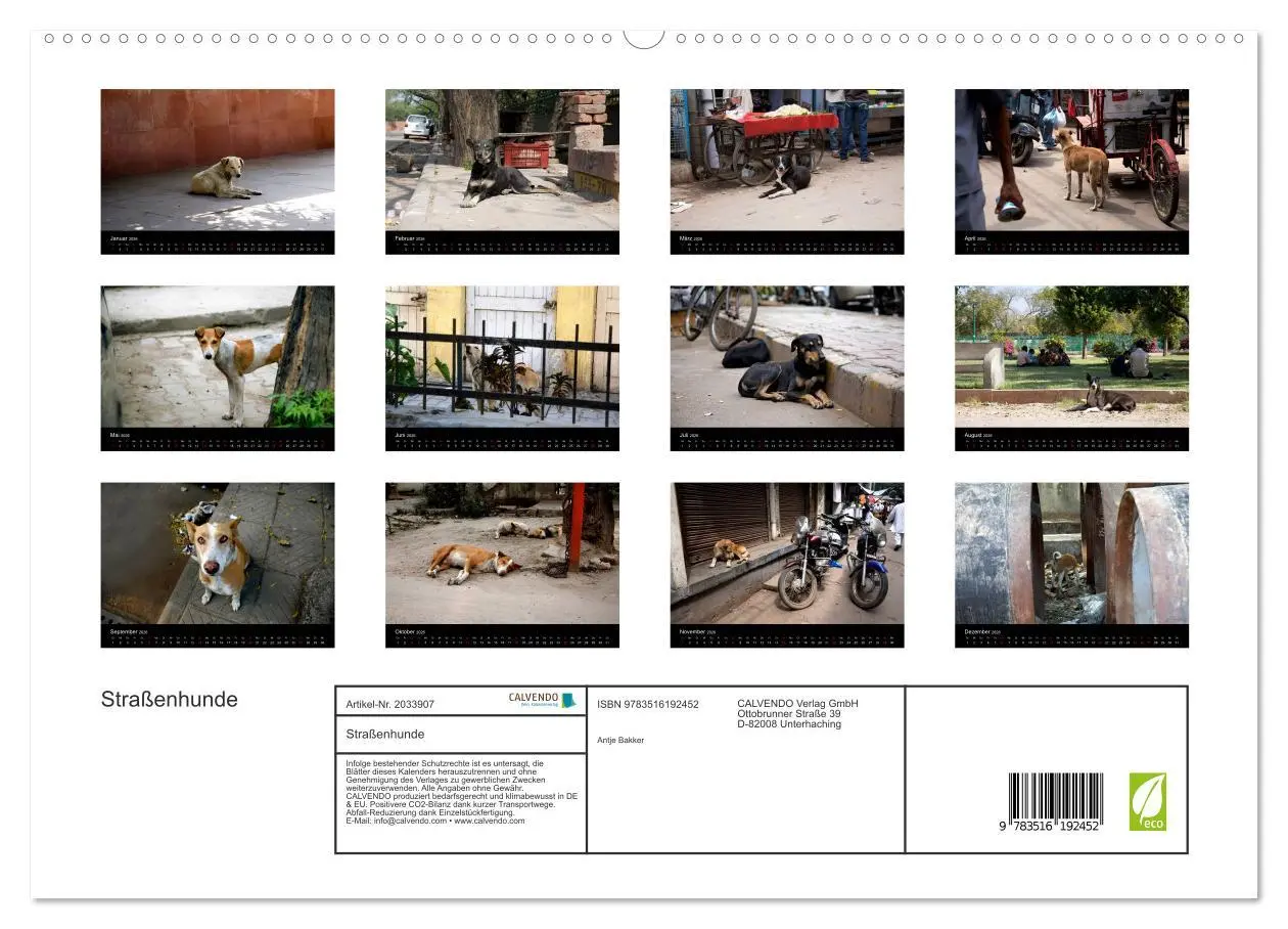 Bild: 9783516192452 | Straßenhunde (hochwertiger Premium Wandkalender 2026 DIN A2 quer),...
