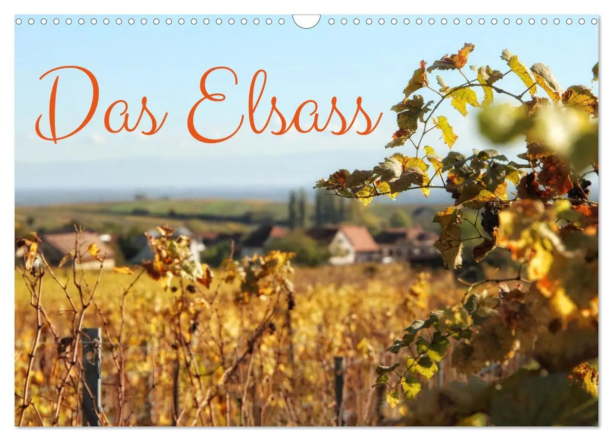 Cover: 9783457542552 | Das Elsass (Wandkalender 2026 DIN A3 quer), CALVENDO Monatskalender