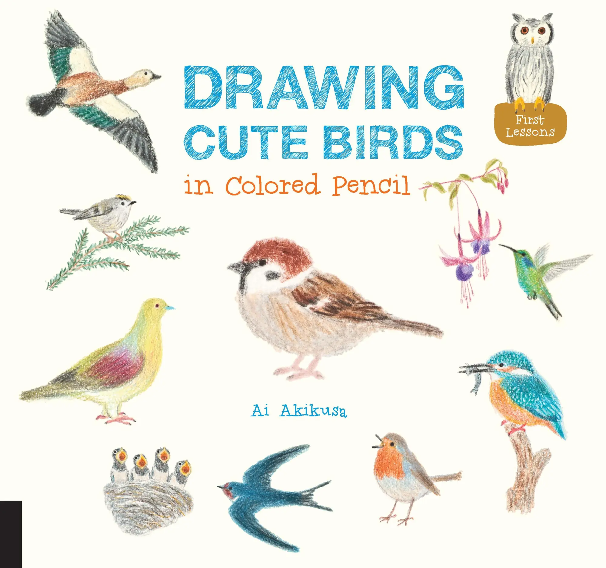 Cover: 9781631592652 | Drawing Cute Birds in Colored Pencil | Ai Akikusa | Taschenbuch | 2016