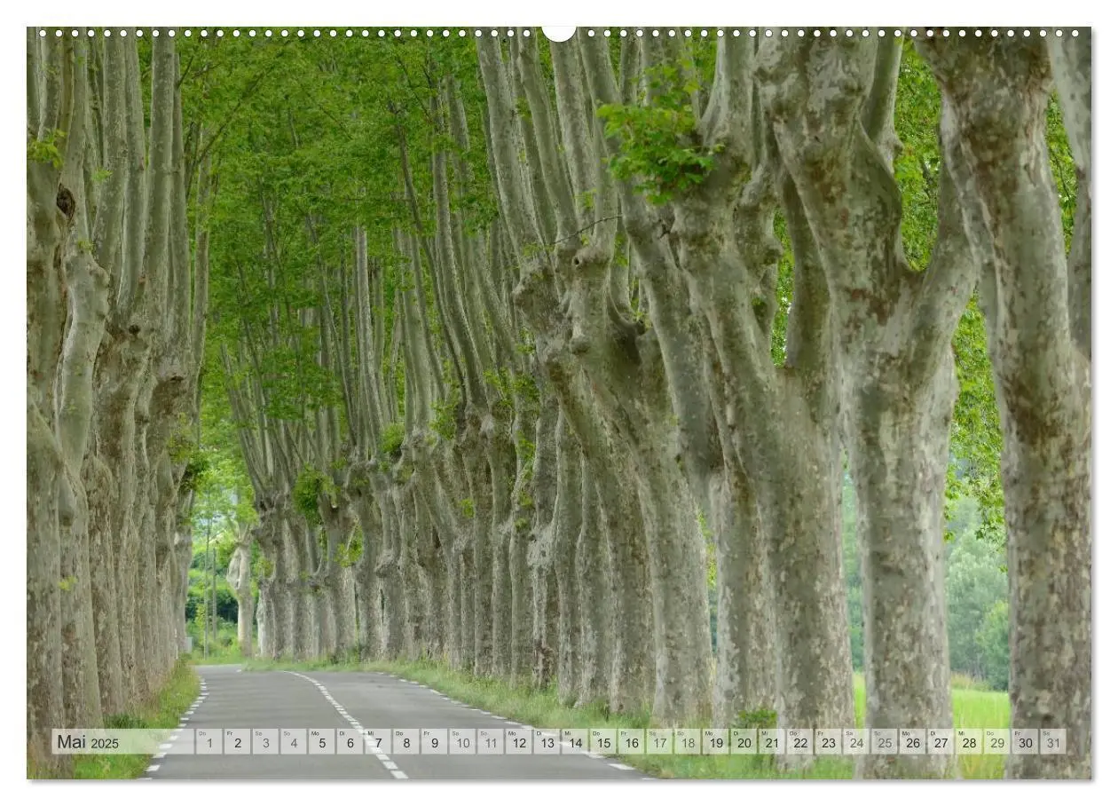 Bild: 9783435682652 | Provence von Christian Heeb (Wandkalender 2025 DIN A2 quer),...