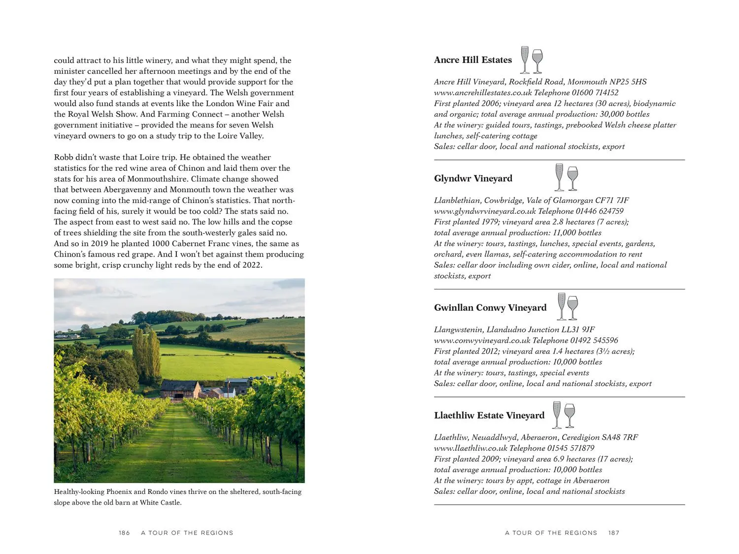 Bild: 9781911682752 | English Wine | Oz Clarke | Buch | Gebunden | Englisch | 2023