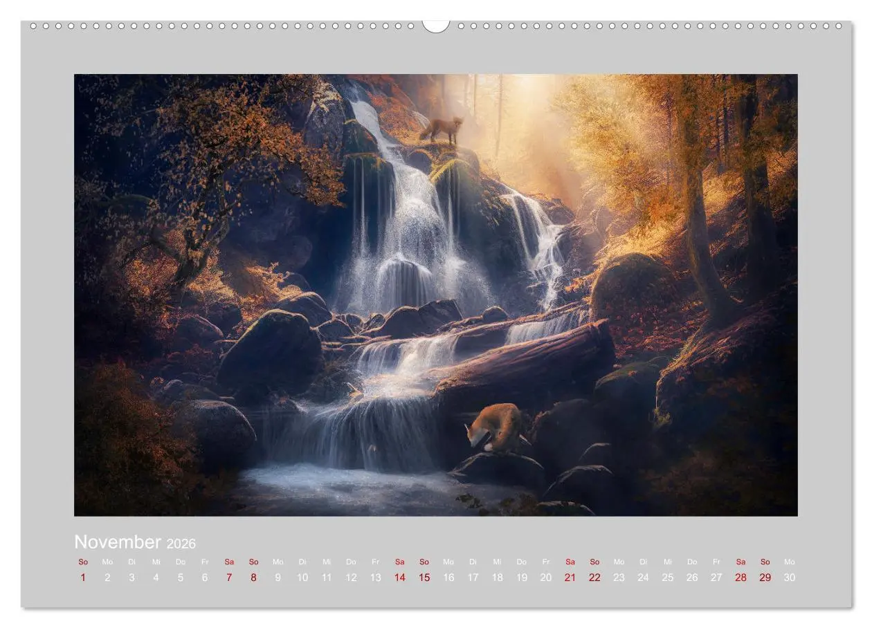 Bild: 9783457382752 | Wald der Märchen (hochwertiger Premium Wandkalender 2026 DIN A2...