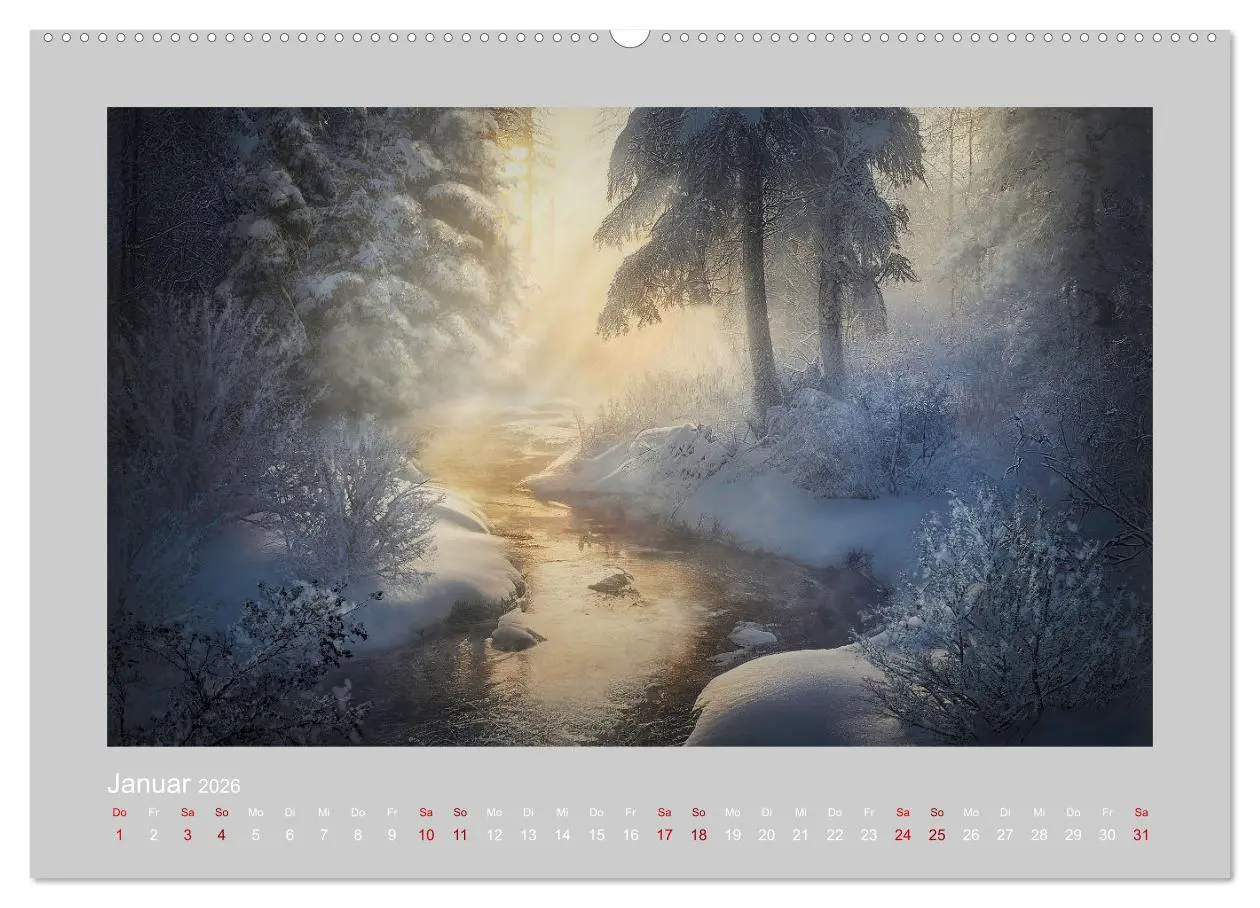 Bild: 9783457382752 | Wald der Märchen (hochwertiger Premium Wandkalender 2026 DIN A2...
