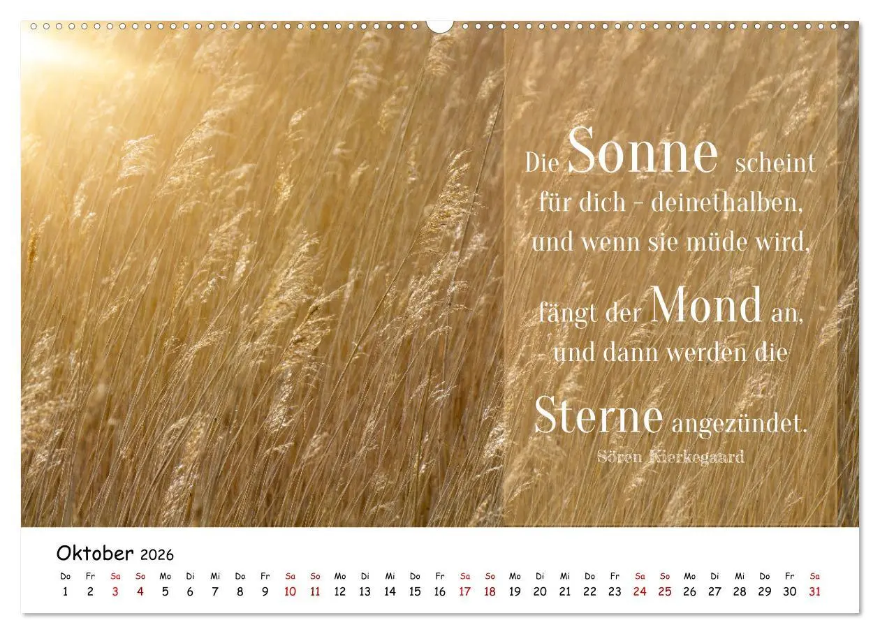 Bild: 9783457452752 | Lebensweisheiten, motivierende Sprüche und kluge Zitate mit Bildern...