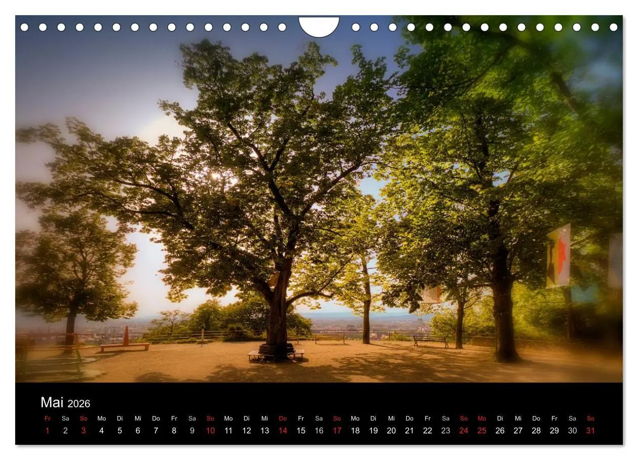 Bild: 9783516232752 | Freiburger Impressionen (Wandkalender 2026 DIN A4 quer), CALVENDO...