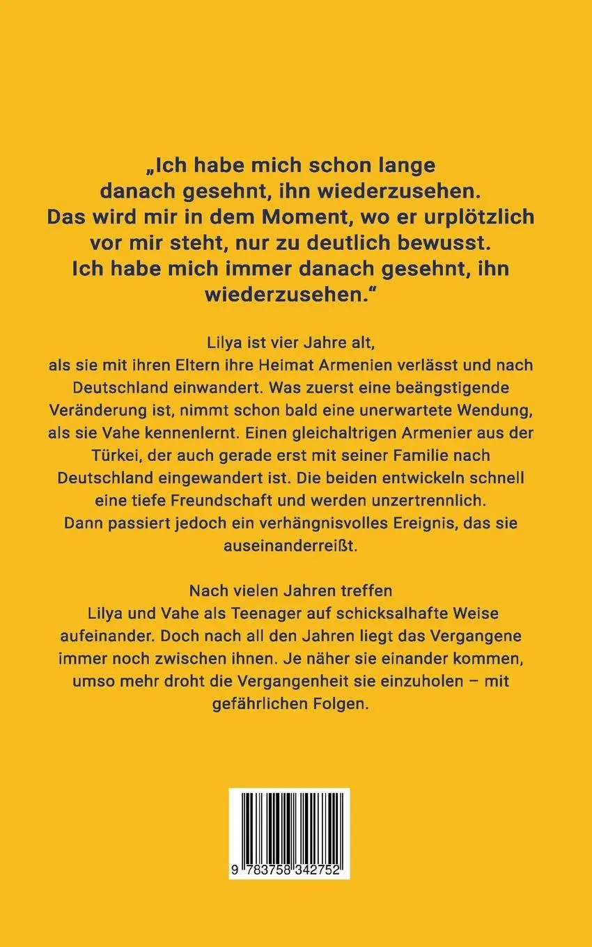 Rückseite: 9783758342752 | Der Junge mit den zwei Augen | Taline Magdalena | Taschenbuch | 578 S.