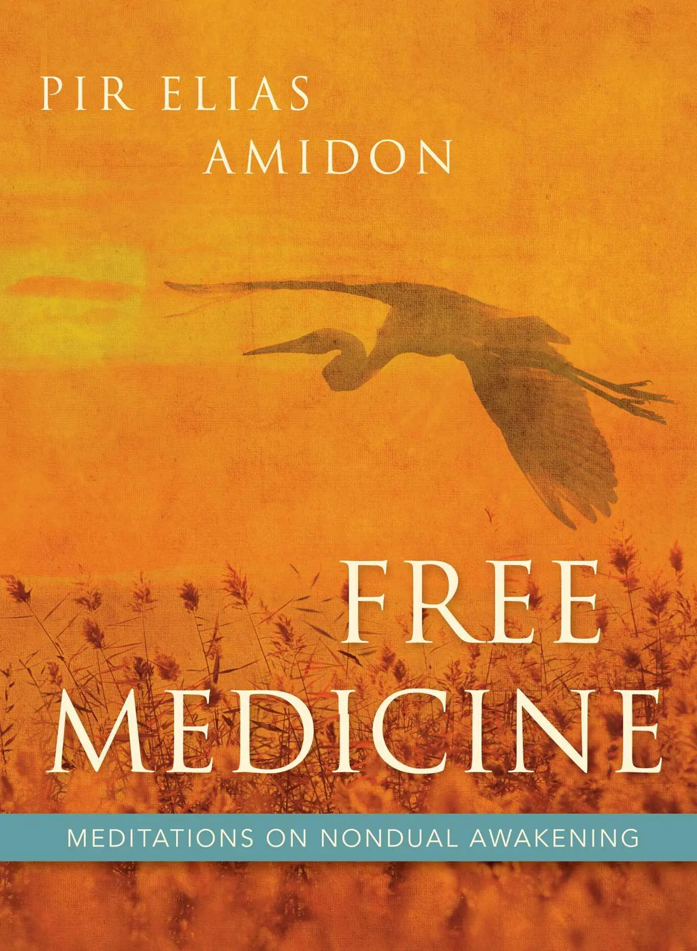 Cover: 9781591812852 | Free Medicine | Meditations on Nondual Awakening | Amidon (u. a.)