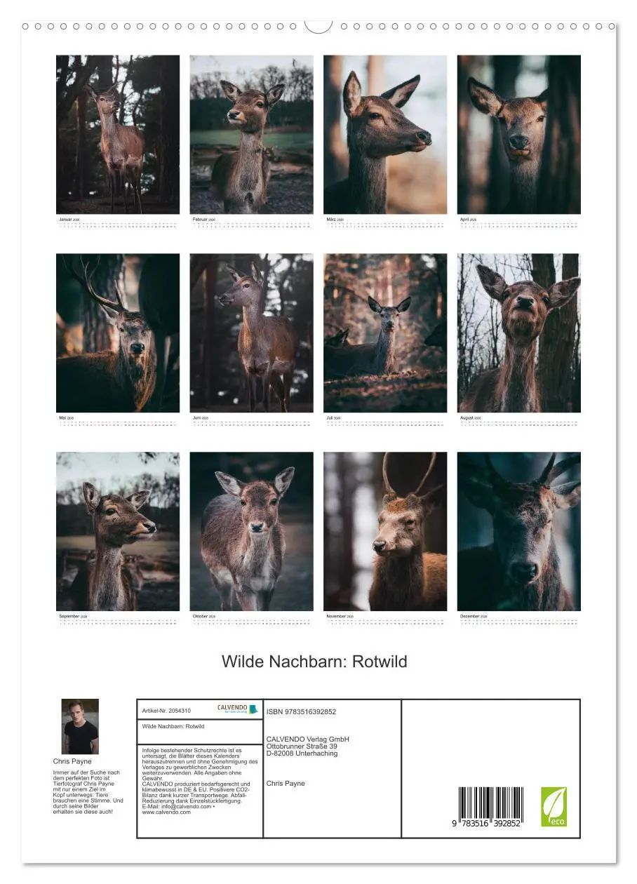Bild: 9783516392852 | Wilde Nachbarn: Rotwild (hochwertiger Premium Wandkalender 2026 DIN...