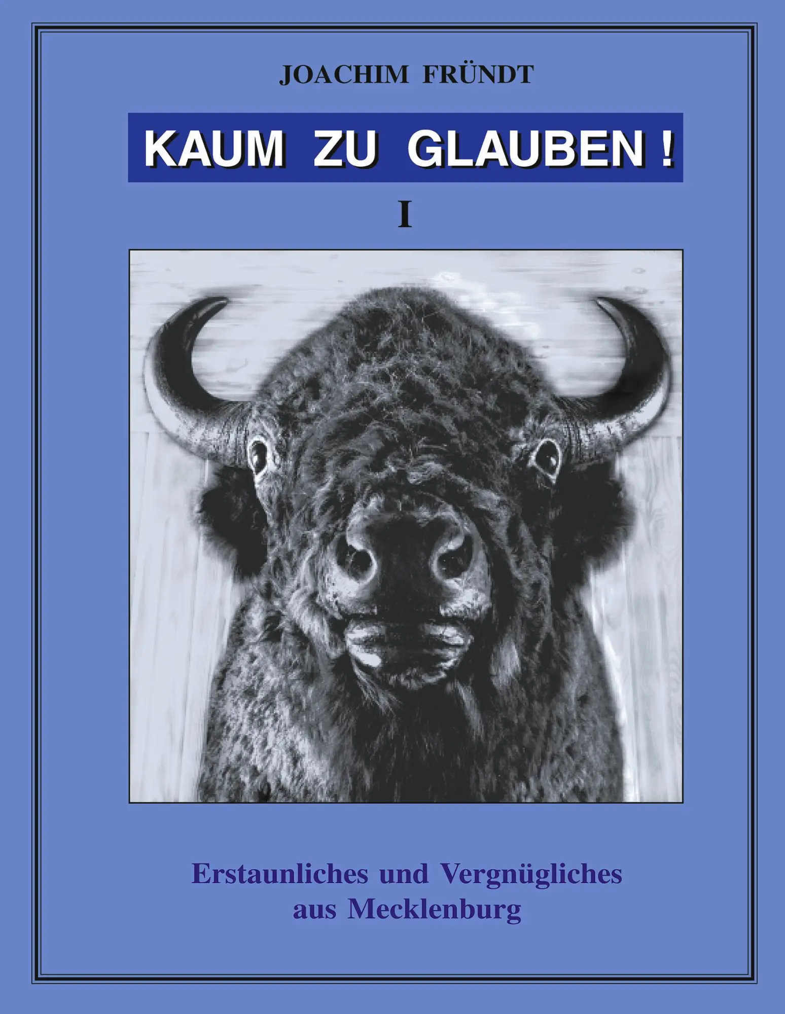 Cover: 9783831112852 | Kaum zu Glauben ! Band I | Joachim Fründt | Taschenbuch | 176 S.