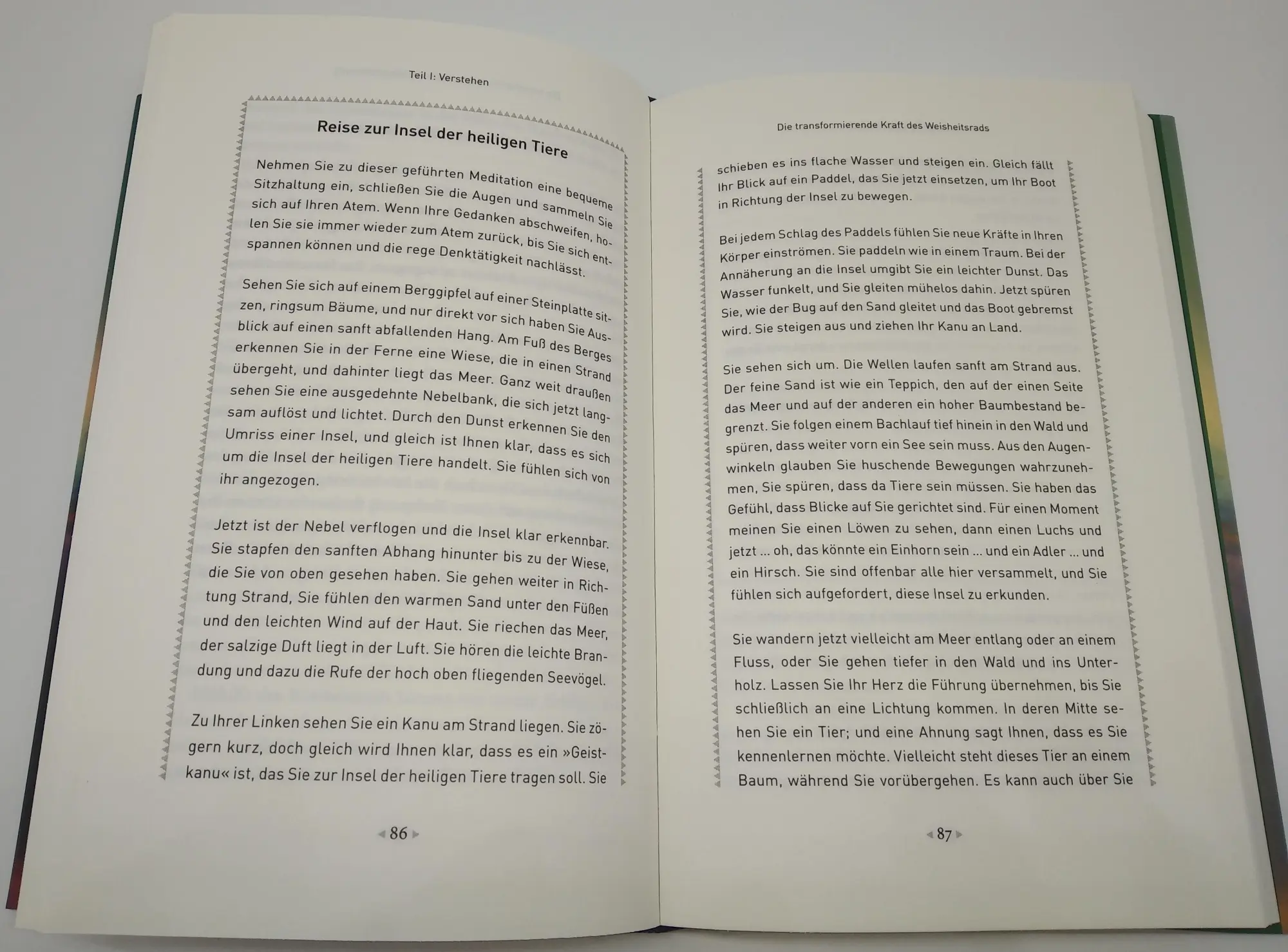 Bild: 9783442342952 | Das Weisheitsrad | Alberto Villoldo | Buch | 256 S. | Deutsch | 2022