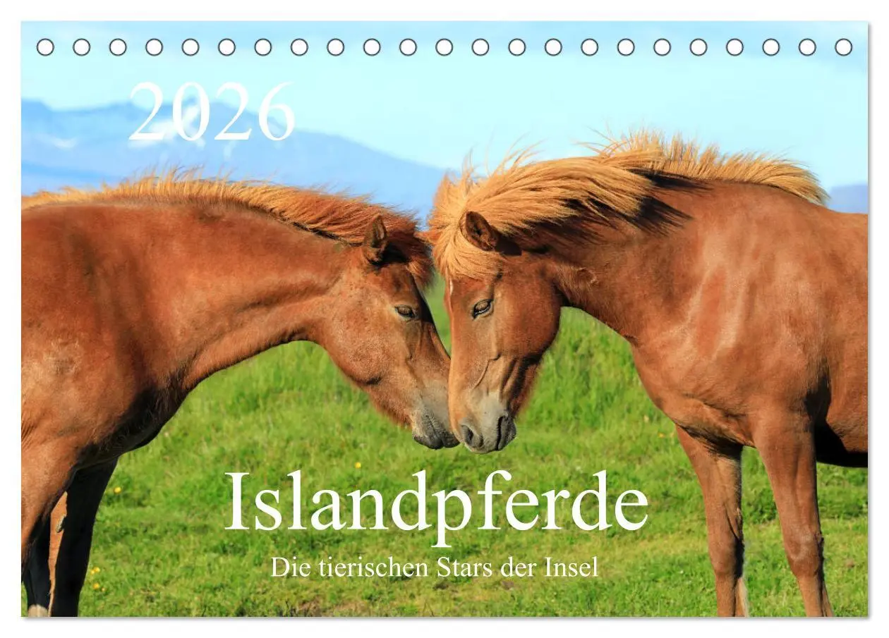 Cover: 9783457812952 | Islandpferde - Die tierischen Stars der Insel (Tischkalender 2026...