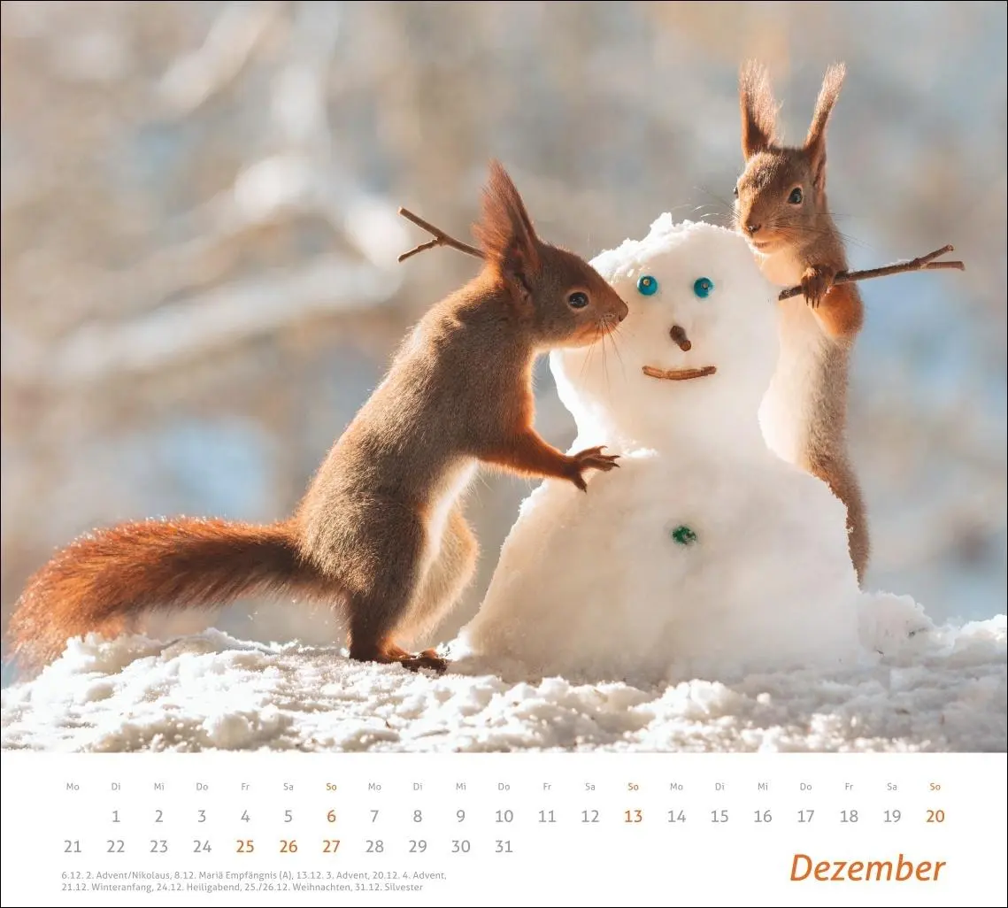 Bild: 9783756412952 | times&amp;more Eichhörnchen Bildkalender 2026 | Geert Weggen | Kalender