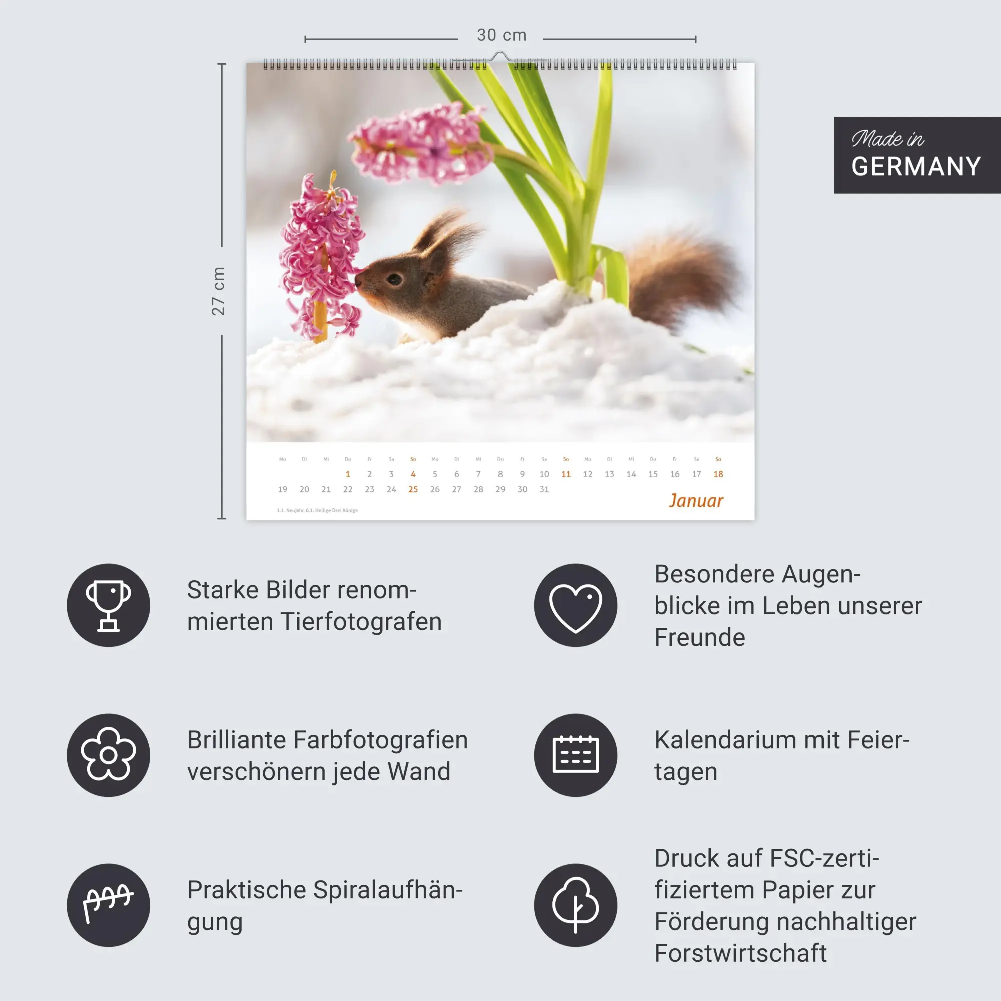 Bild: 9783756412952 | times&amp;more Eichhörnchen Bildkalender 2026 | Geert Weggen | Kalender