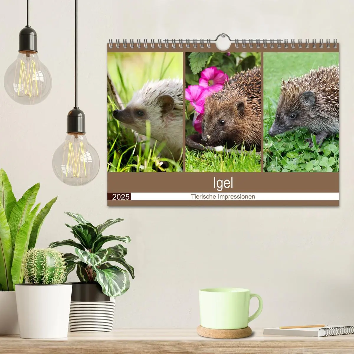 Bild: 9783435473052 | Igel 2025. Tierische Impressionen (Wandkalender 2025 DIN A4 quer),...