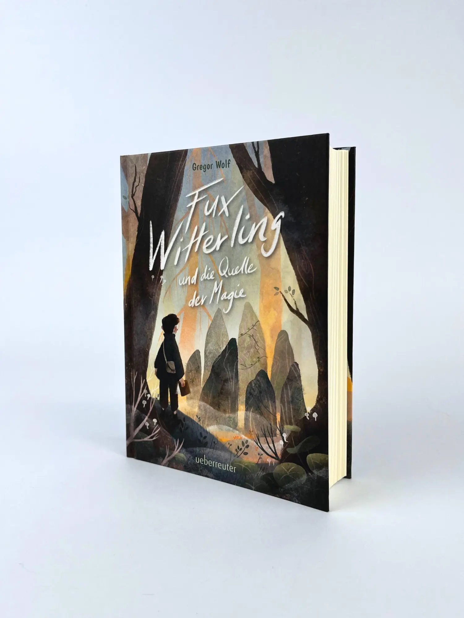 Bild: 9783764153052 | Fux Witterling und die Quelle der Magie | Gregor Wolf | Buch | 352 S.