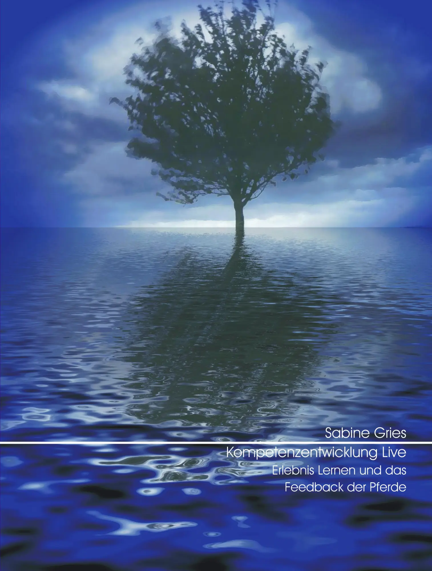 Cover: 9783937333052 | Kompetenzentwicklung Live | Sabine Gries | Taschenbuch | 224 S. | 2004