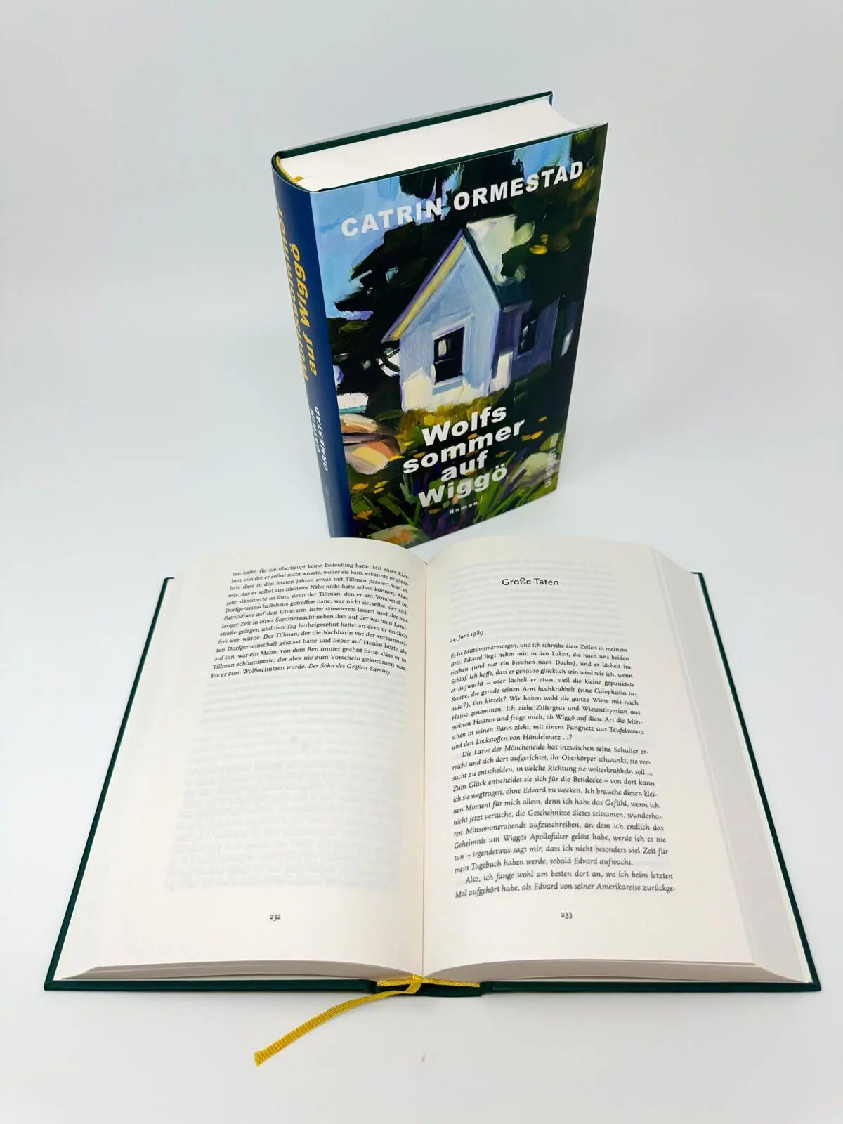 Bild: 9783550203152 | Wolfssommer auf Wiggö | Roman | Catrin Ormestad | Buch | 512 S. | 2026