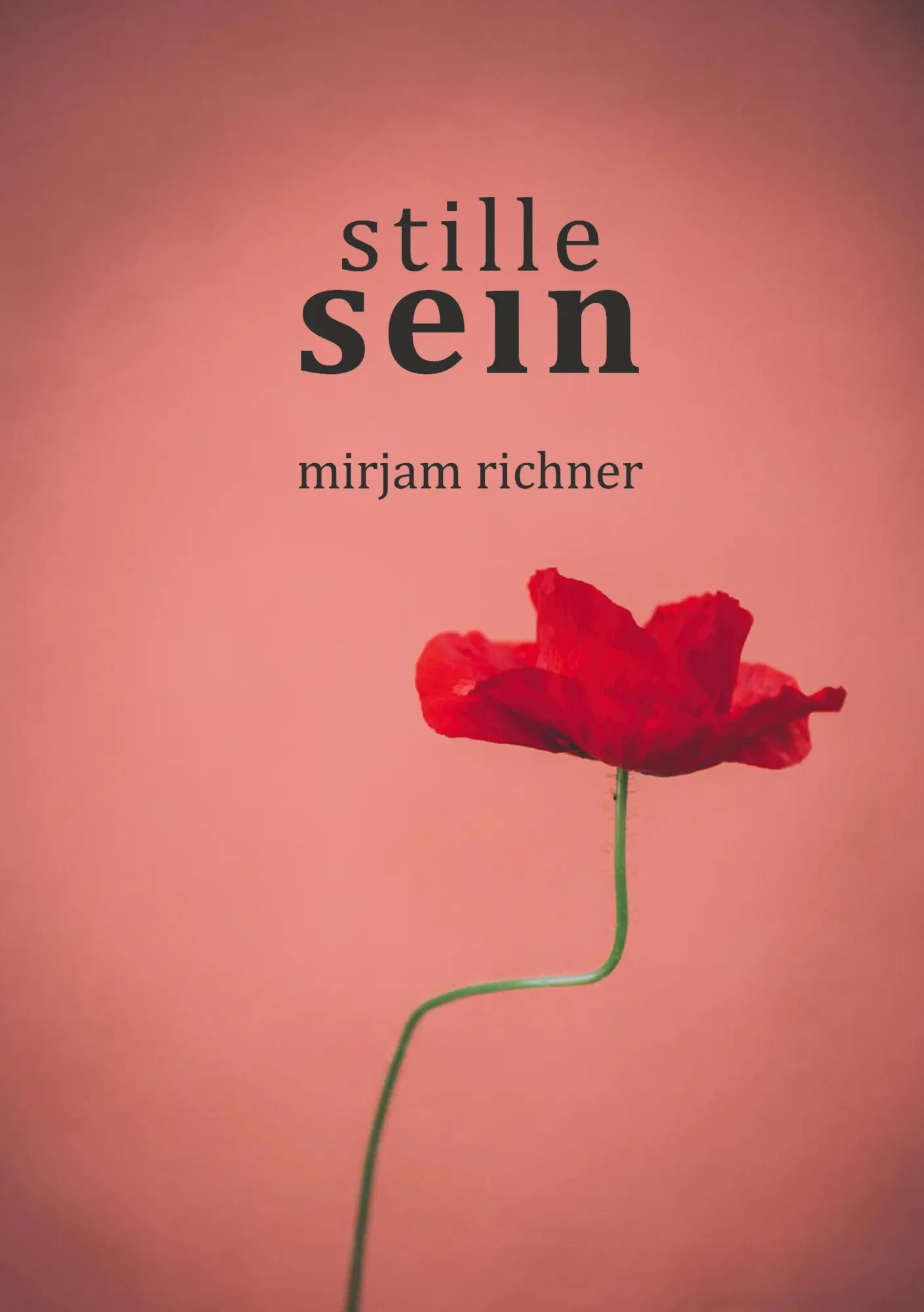Cover: 9783758373152 | Stille sein | Mirjam Richner | Buch | HC gerader Rücken kaschiert
