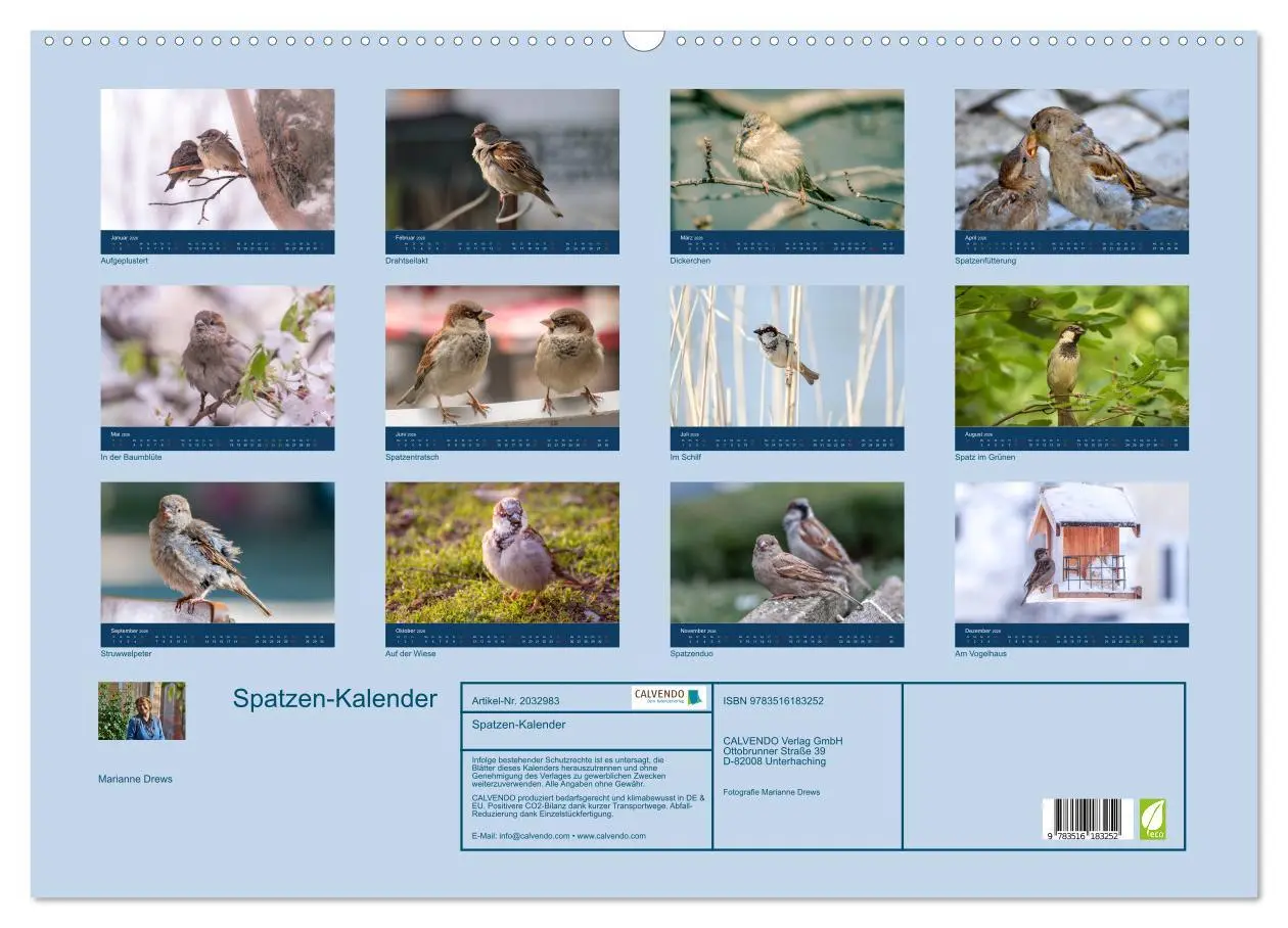 Bild: 9783516183252 | Spatzen-Kalender (Wandkalender 2026 DIN A2 quer), CALVENDO...