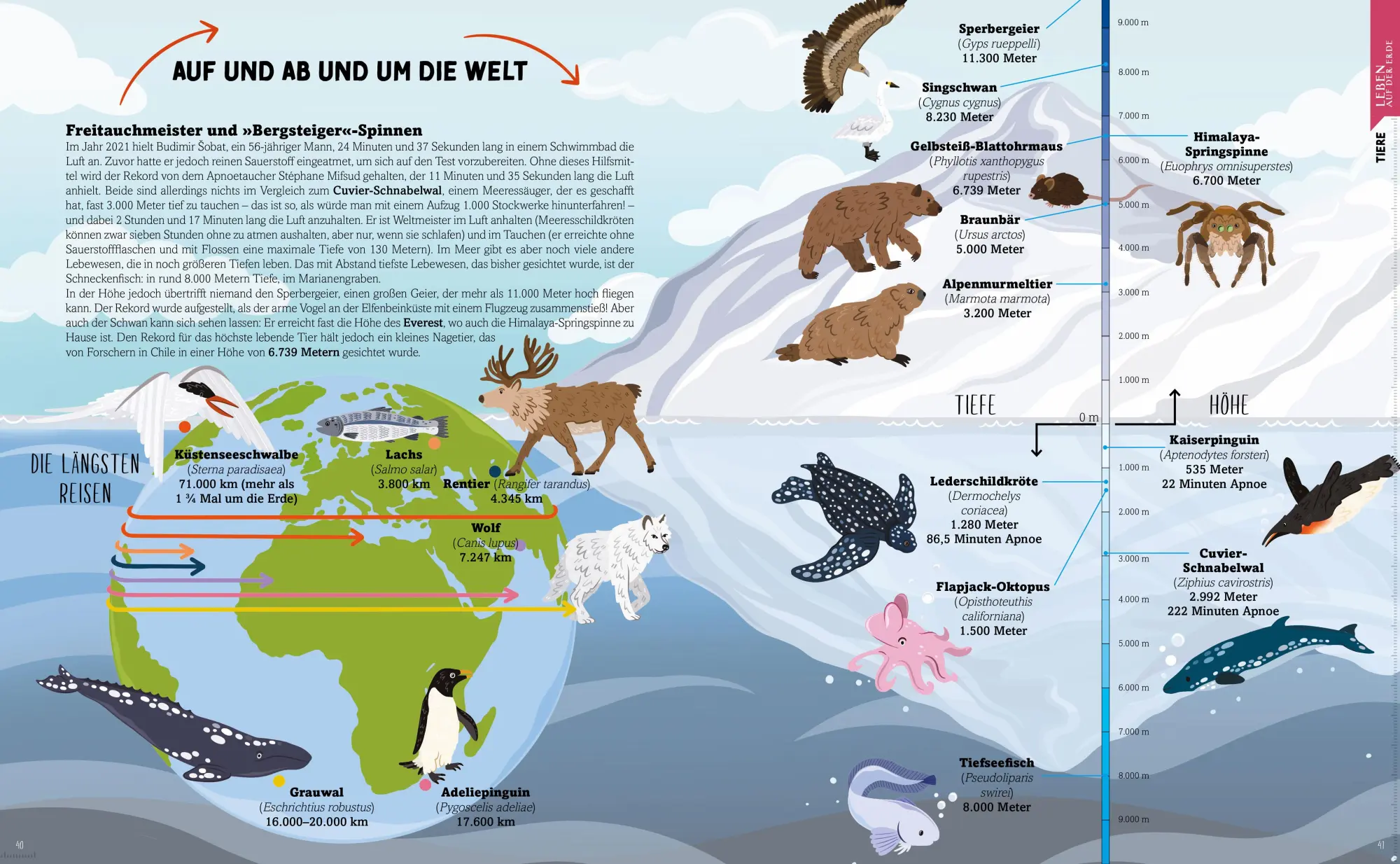 Bild: 9783038763352 | Wir messen die Welt | Natur, Tiere, Menschen und Bauwerke im Vergleich