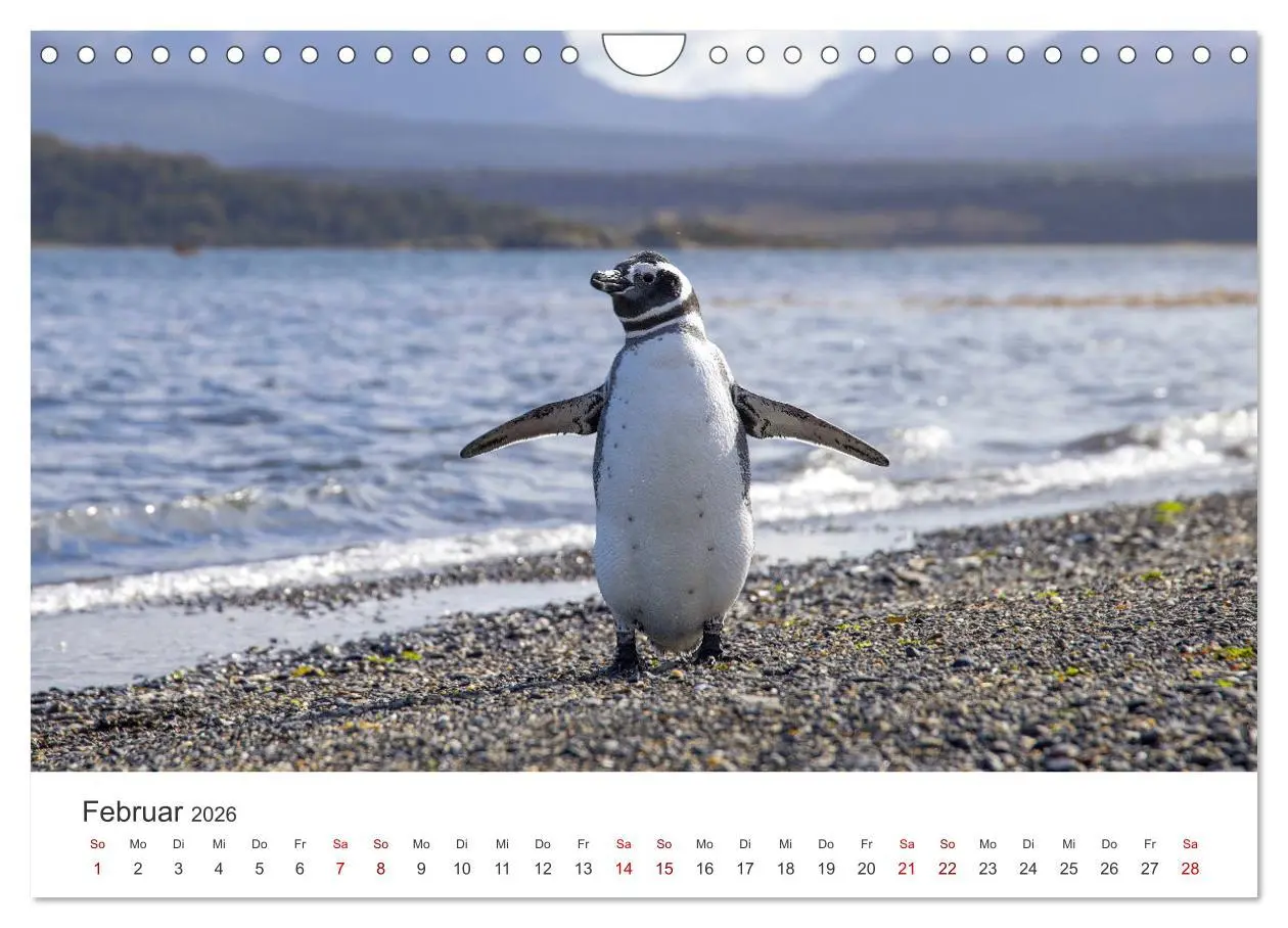 Bild: 9783457603352 | Argentinien - Das bezaubernde Land in Südamerika. (Wandkalender...