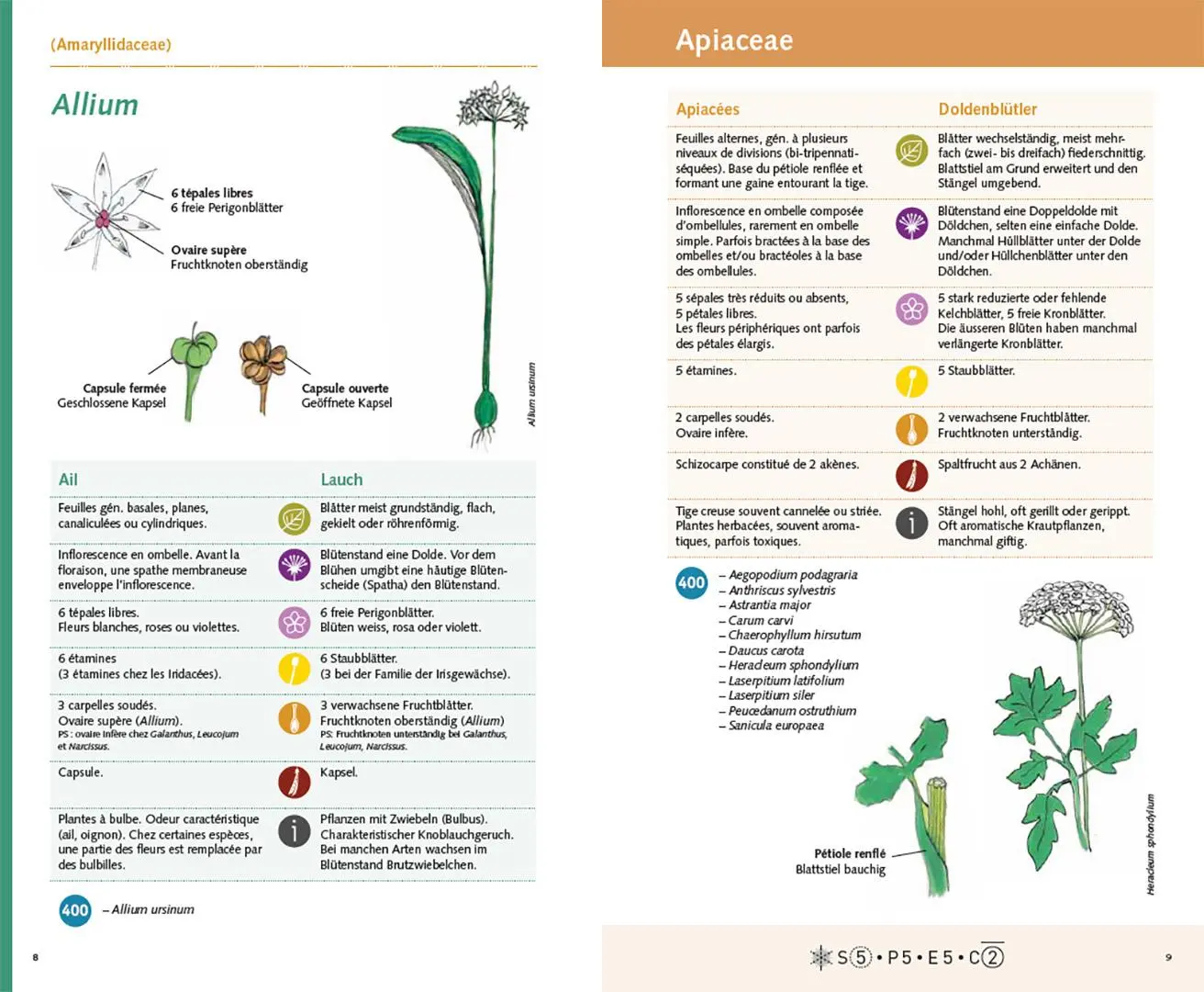 Bild: 9783258083452 | Carnet 400 | Floraneuch | Taschenbuch | 96 S. | Deutsch | 2025