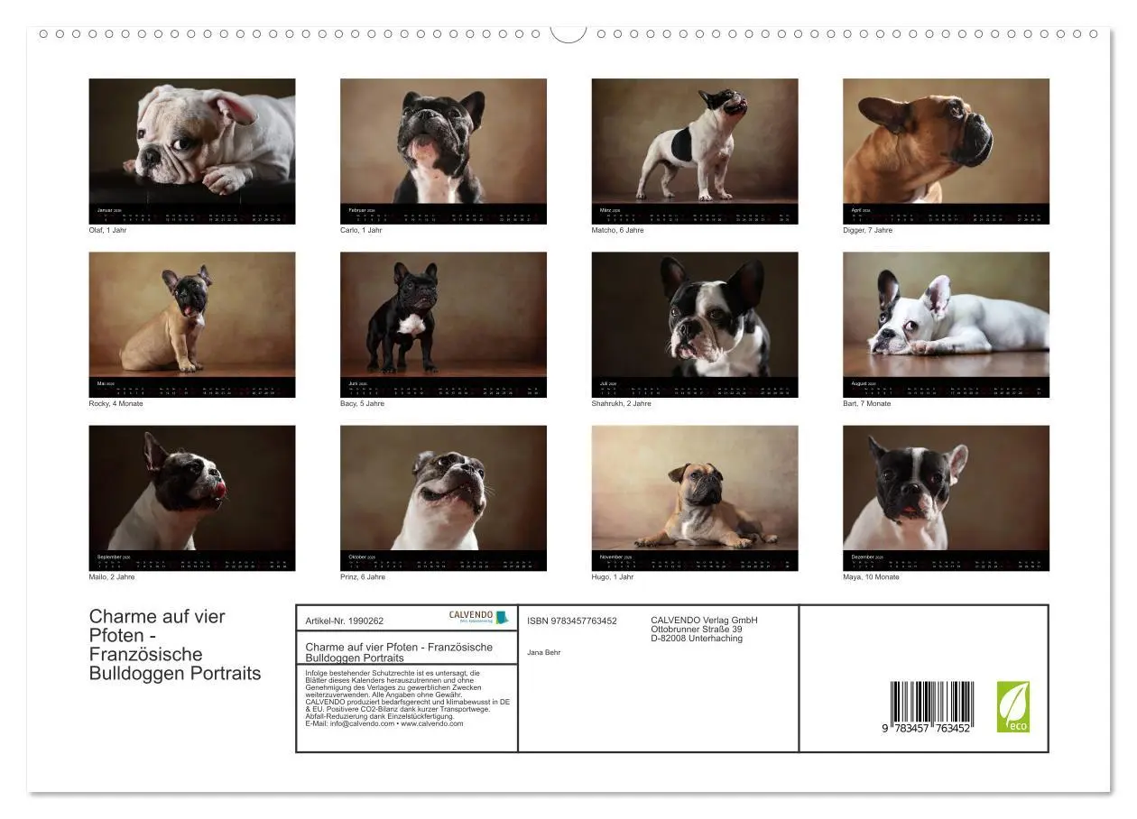 Bild: 9783457763452 | Charme auf vier Pfoten - Französische Bulldoggen Portraits...