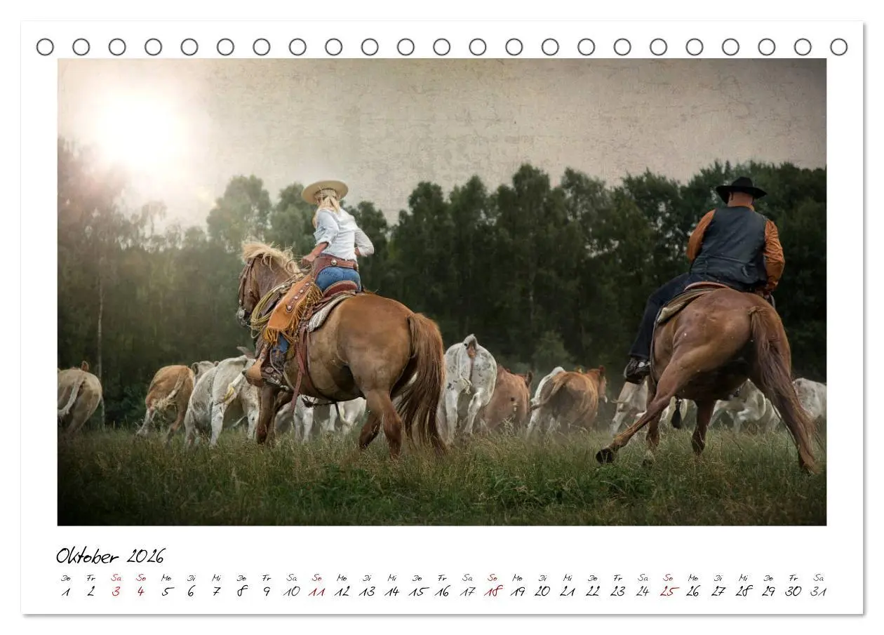 Bild: 9783457903452 | Mecklenburgs Wilder Westen (Tischkalender 2026 DIN A5 quer),...