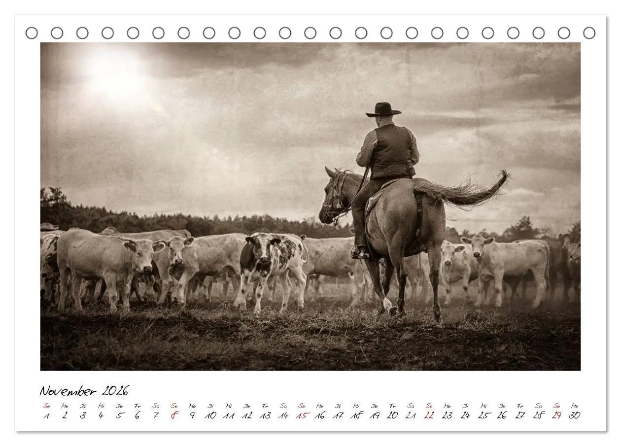 Bild: 9783457903452 | Mecklenburgs Wilder Westen (Tischkalender 2026 DIN A5 quer),...