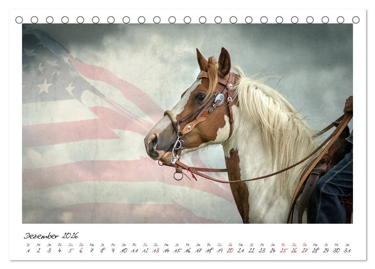 Bild: 9783457903452 | Mecklenburgs Wilder Westen (Tischkalender 2026 DIN A5 quer),...