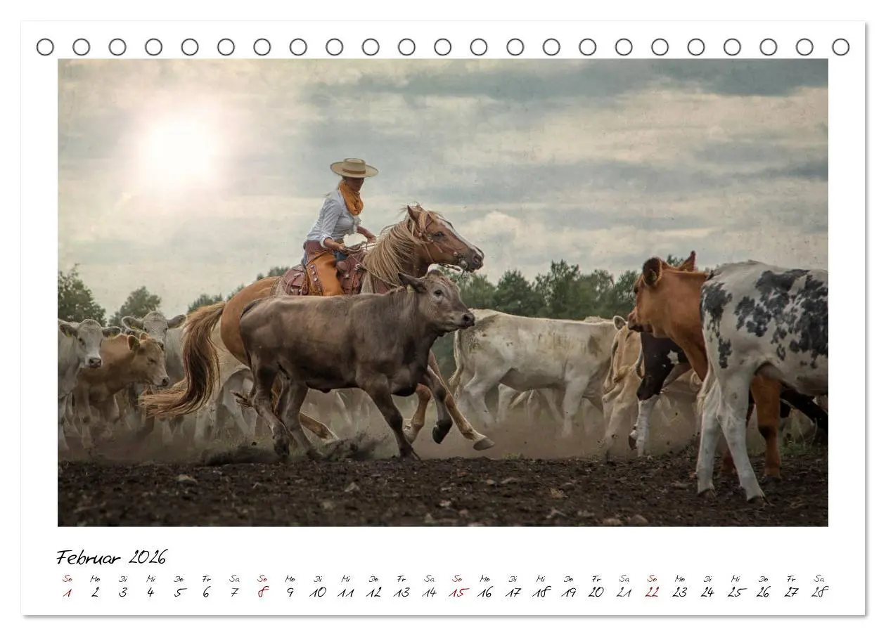 Bild: 9783457903452 | Mecklenburgs Wilder Westen (Tischkalender 2026 DIN A5 quer),...