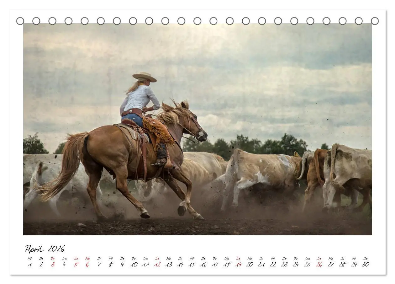 Bild: 9783457903452 | Mecklenburgs Wilder Westen (Tischkalender 2026 DIN A5 quer),...