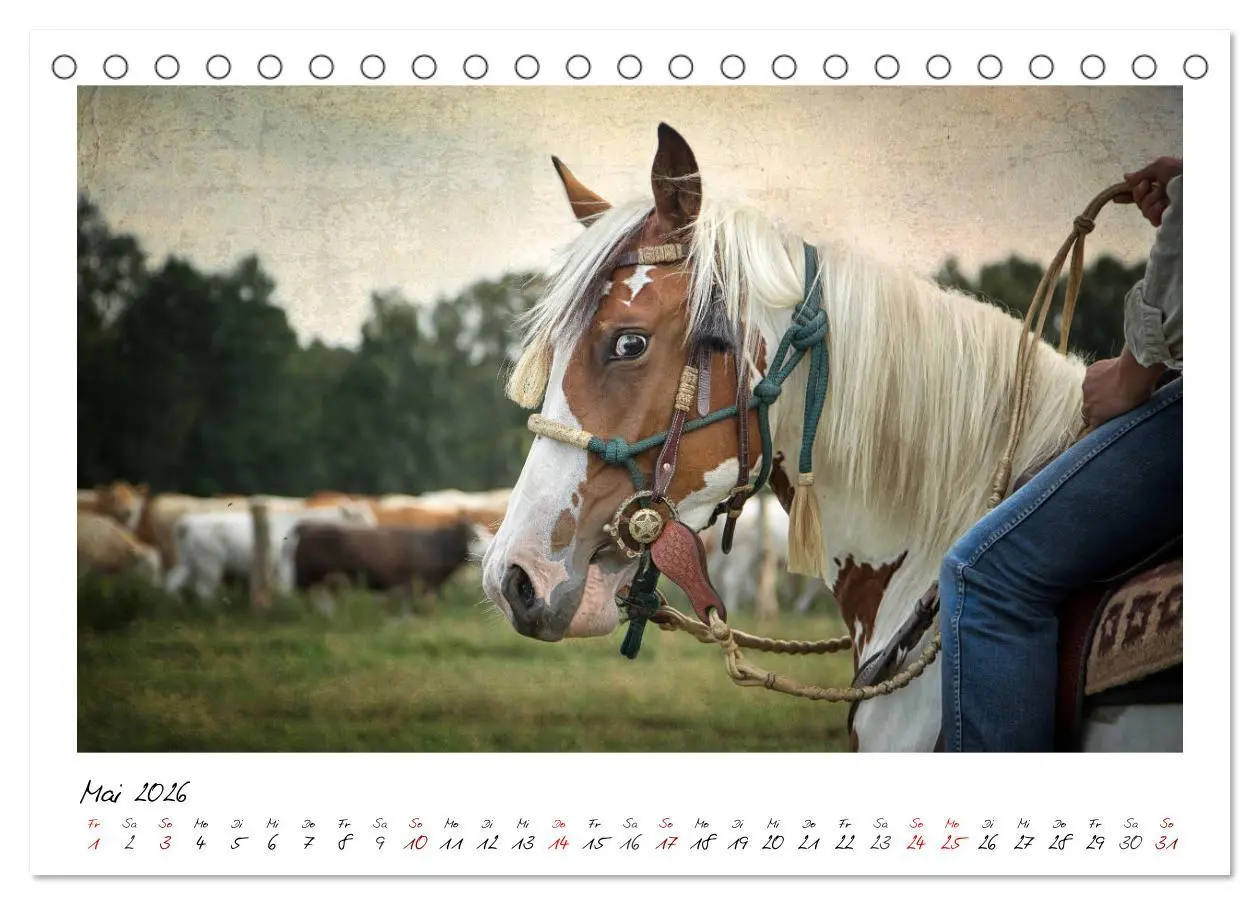 Bild: 9783457903452 | Mecklenburgs Wilder Westen (Tischkalender 2026 DIN A5 quer),...