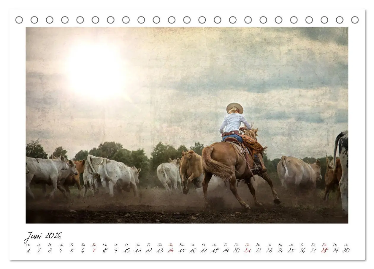 Bild: 9783457903452 | Mecklenburgs Wilder Westen (Tischkalender 2026 DIN A5 quer),...