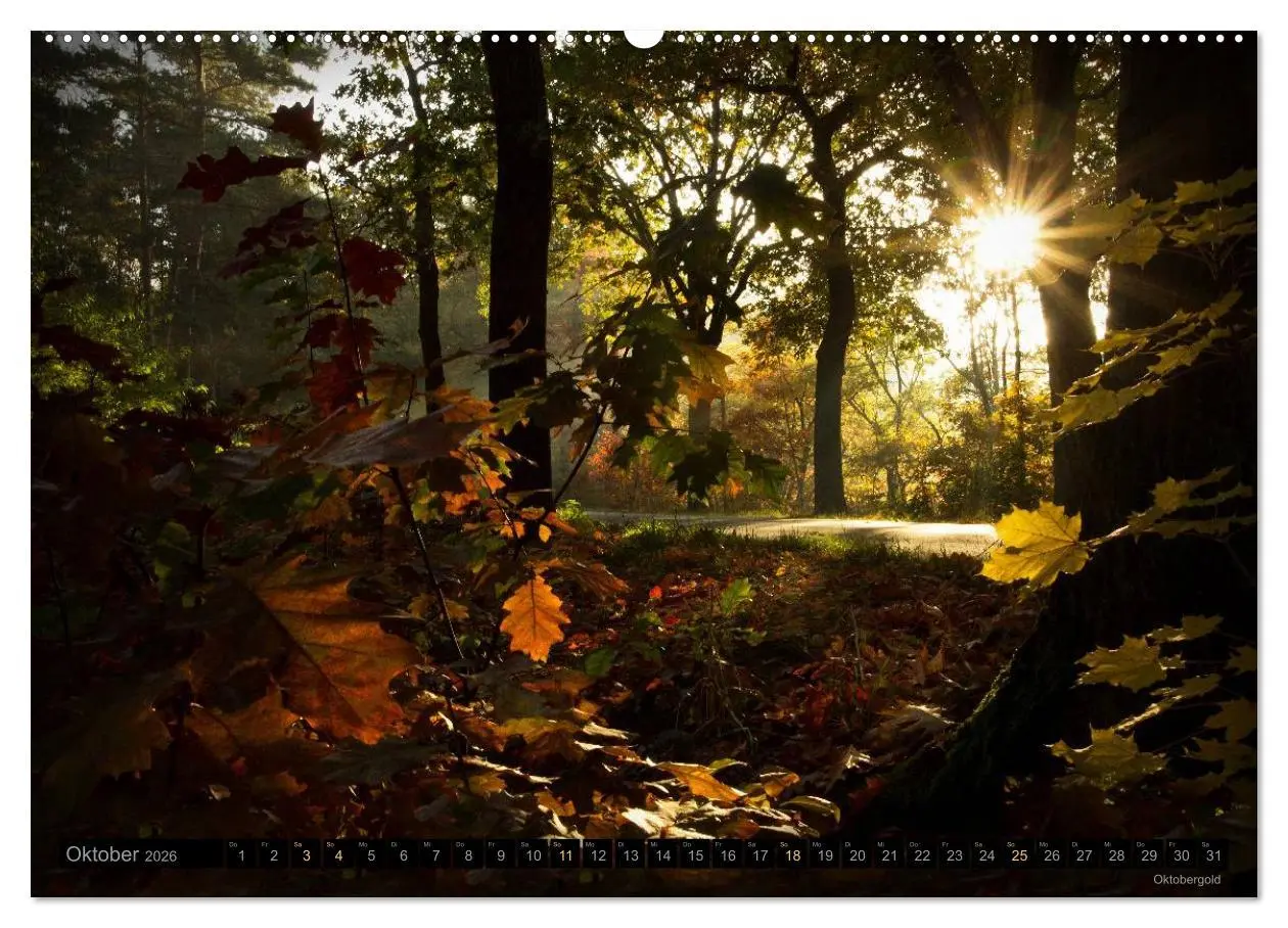 Bild: 9783516093452 | Traumlandschaften 2026 (Wandkalender 2026 DIN A2 quer), CALVENDO...