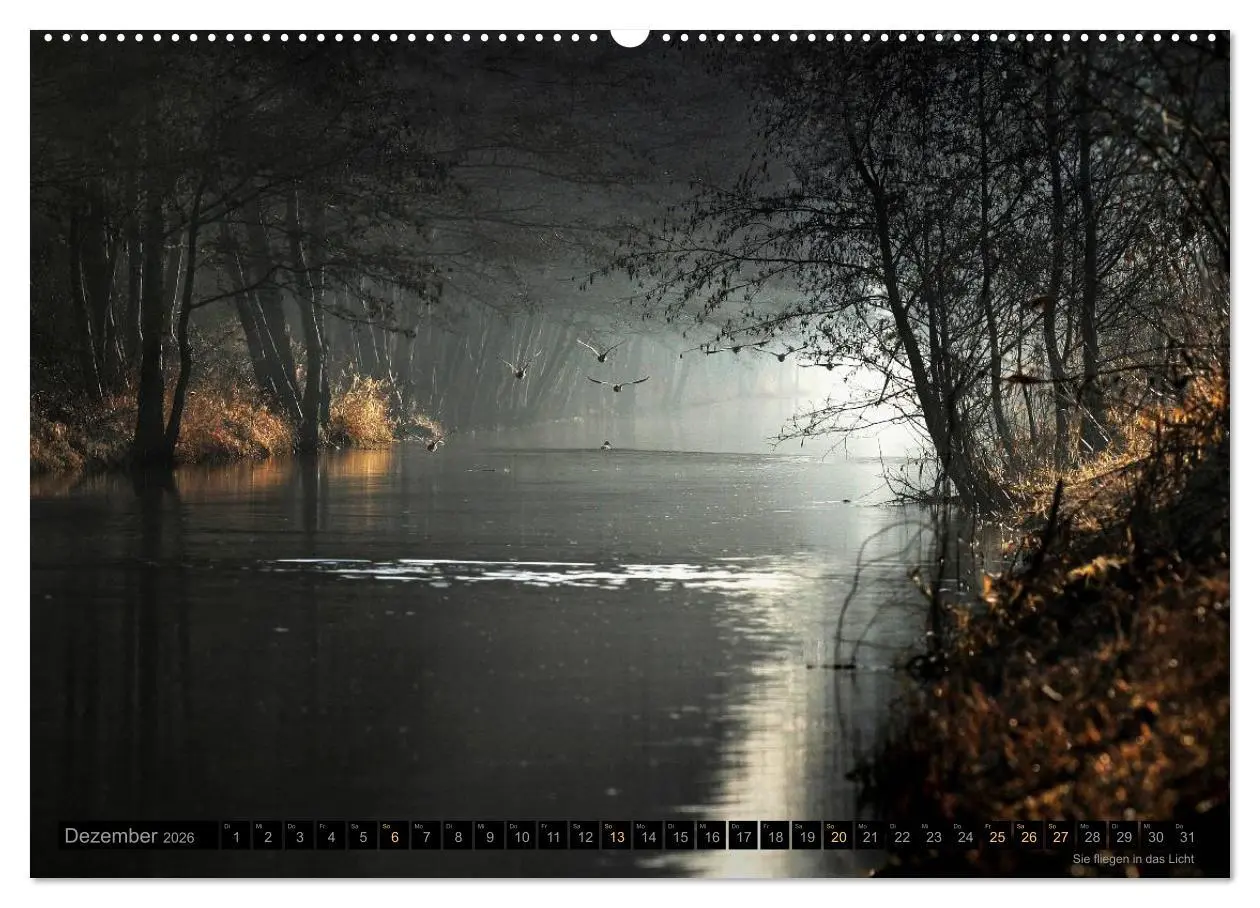 Bild: 9783516093452 | Traumlandschaften 2026 (Wandkalender 2026 DIN A2 quer), CALVENDO...